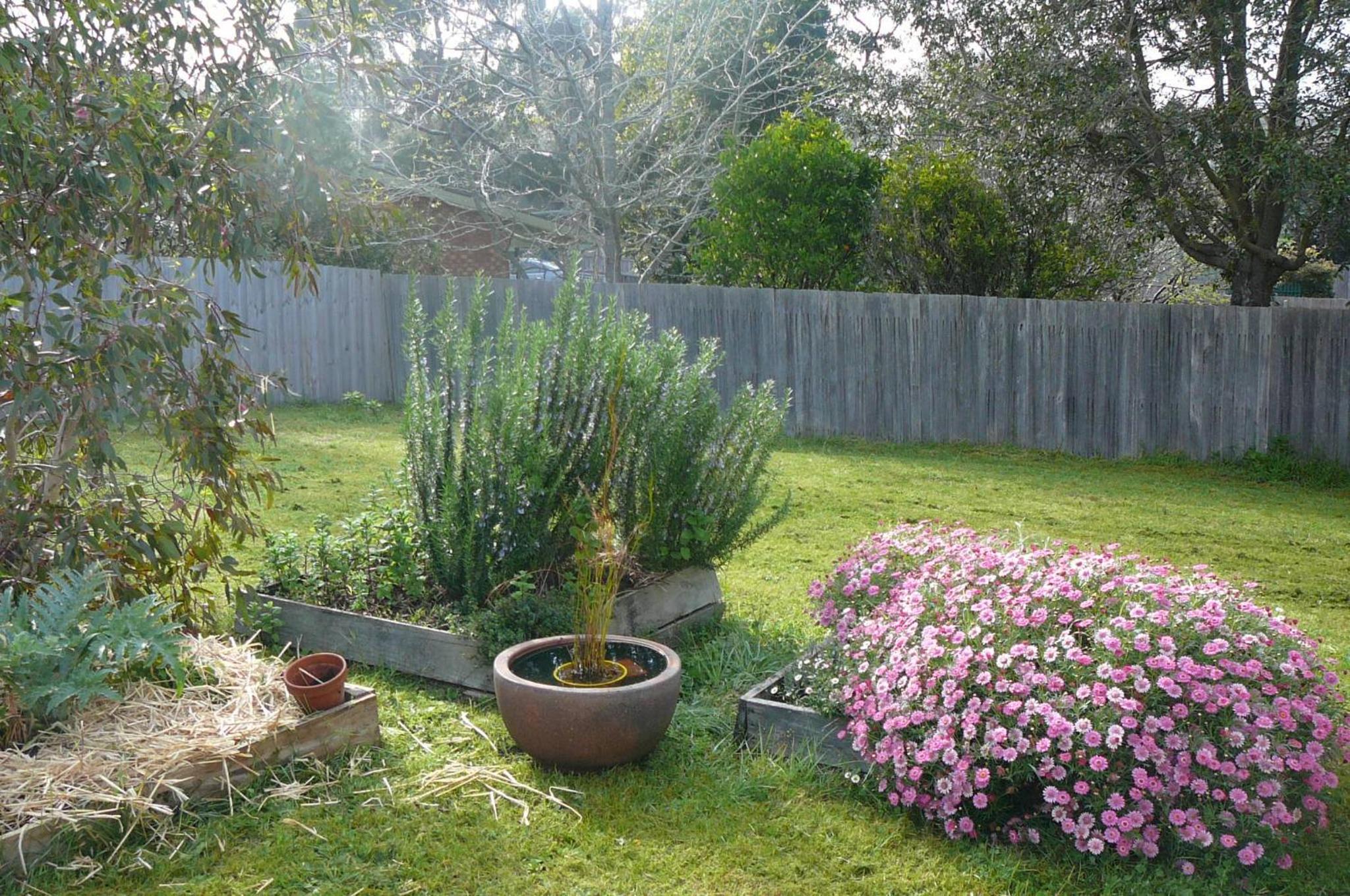 Banksia Waters