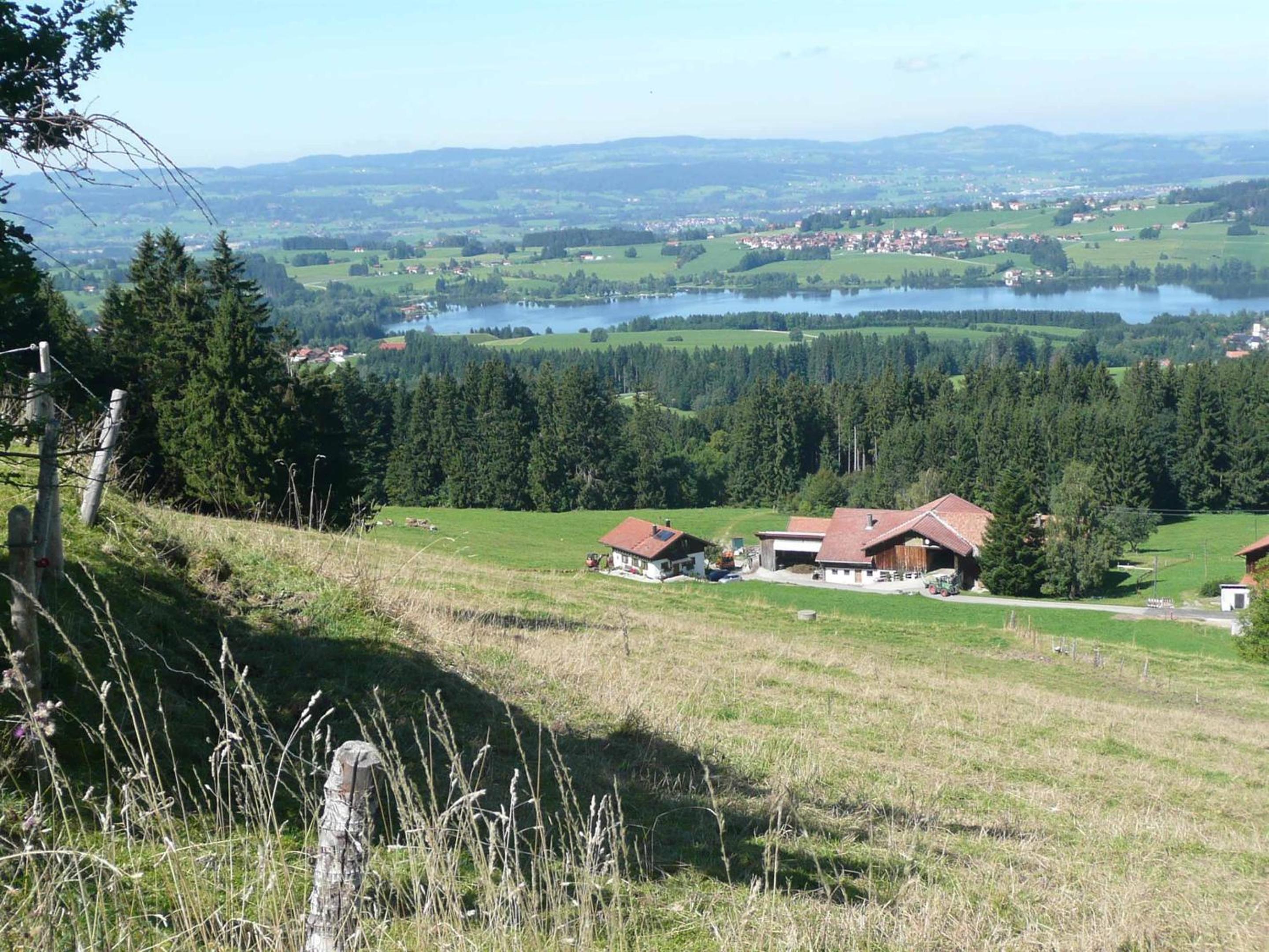 Photo 22