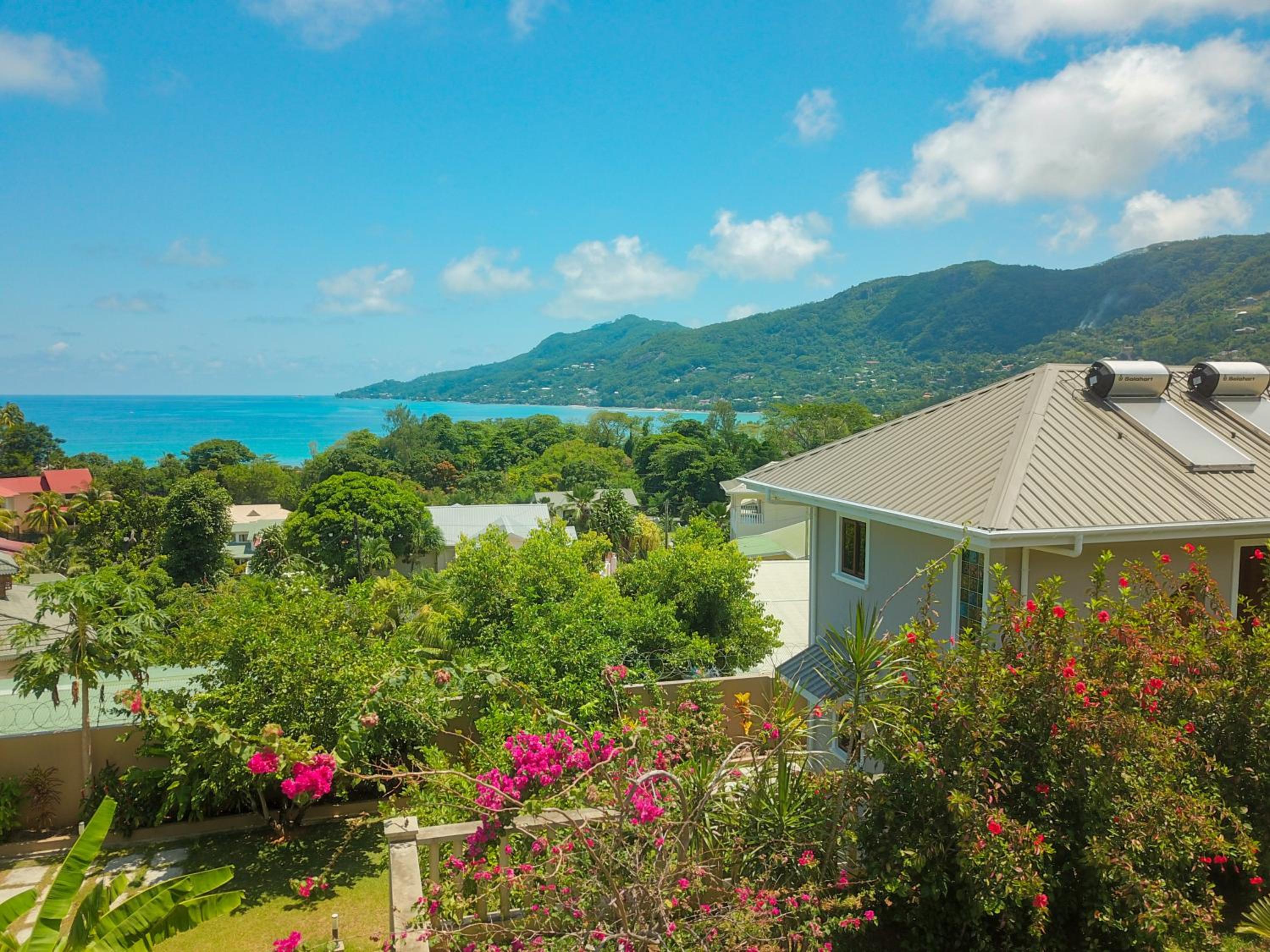 Whispering Palms photo 5