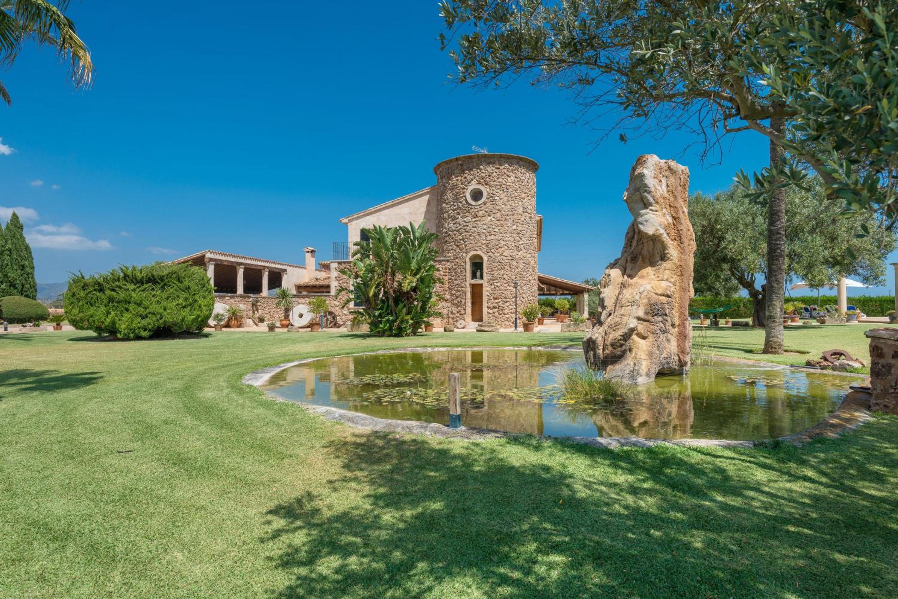 Can Colis view 2
