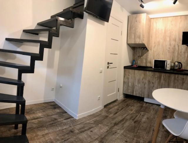 Kotlyarska Apartments view 4