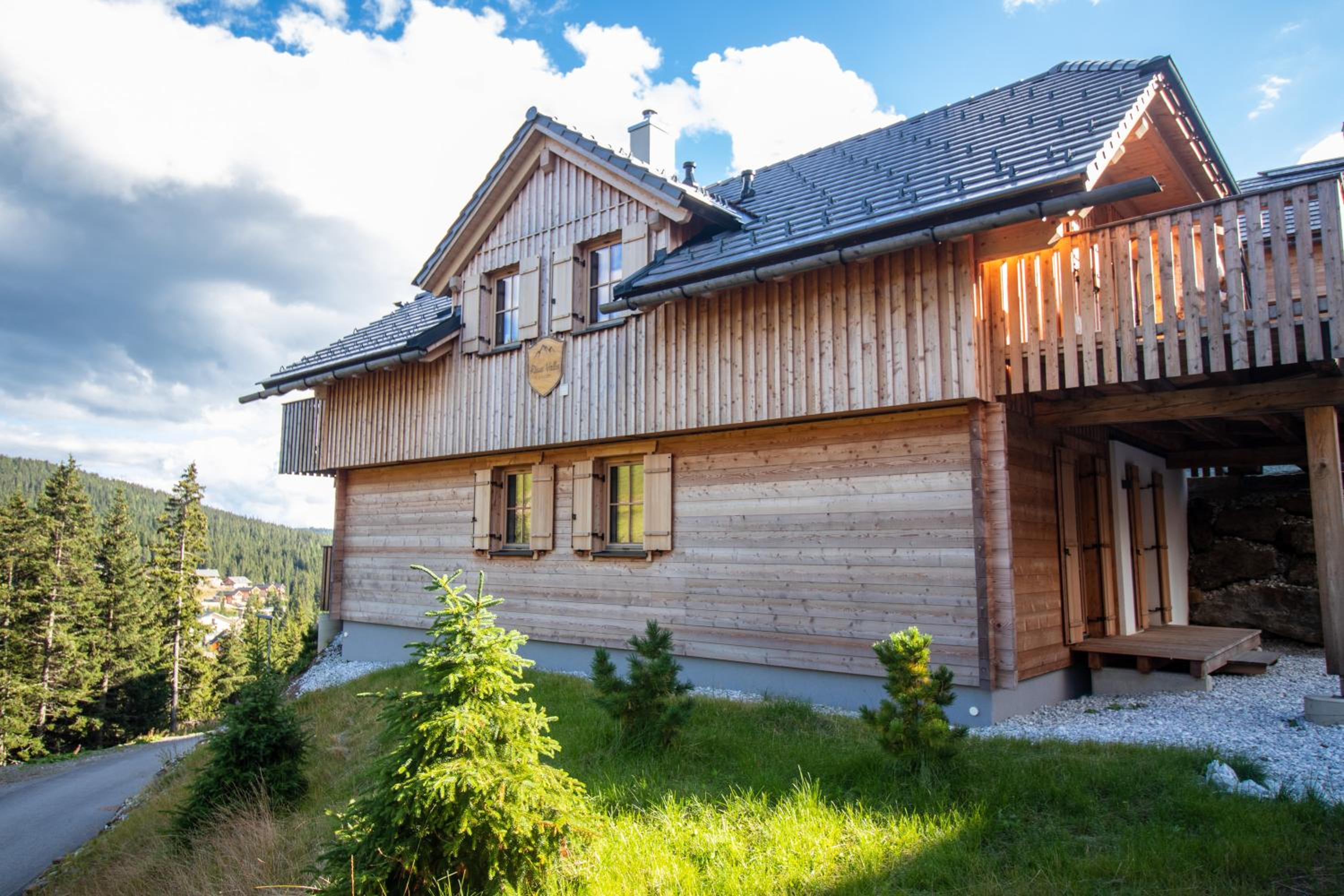 Chalet Risus Vallis Lachtal view 3