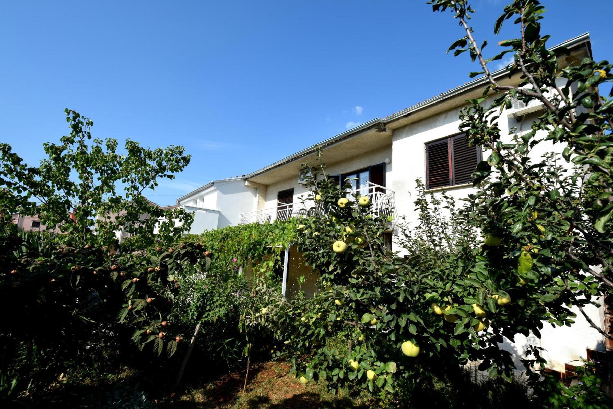 Apartments Blazevic view 4