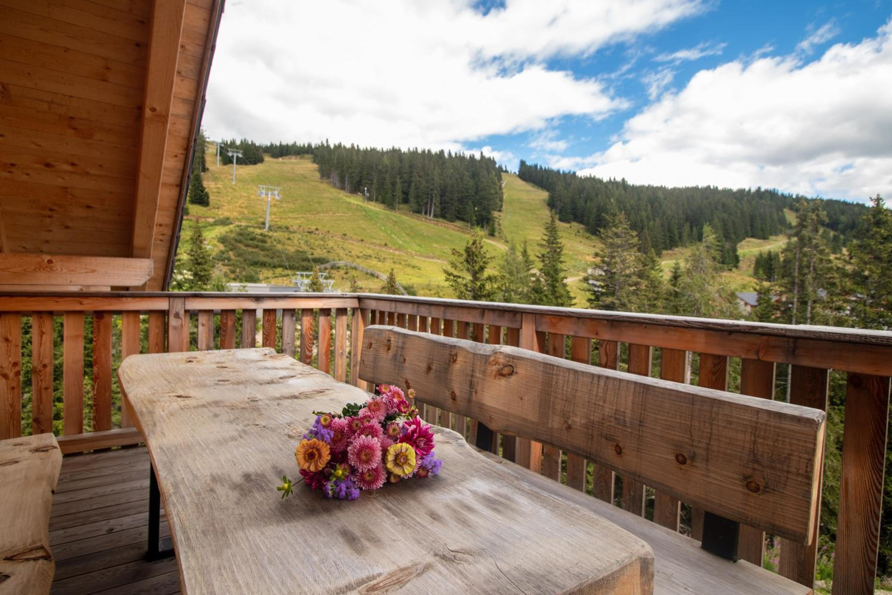 Chalet Risus Vallis Lachtal view 5