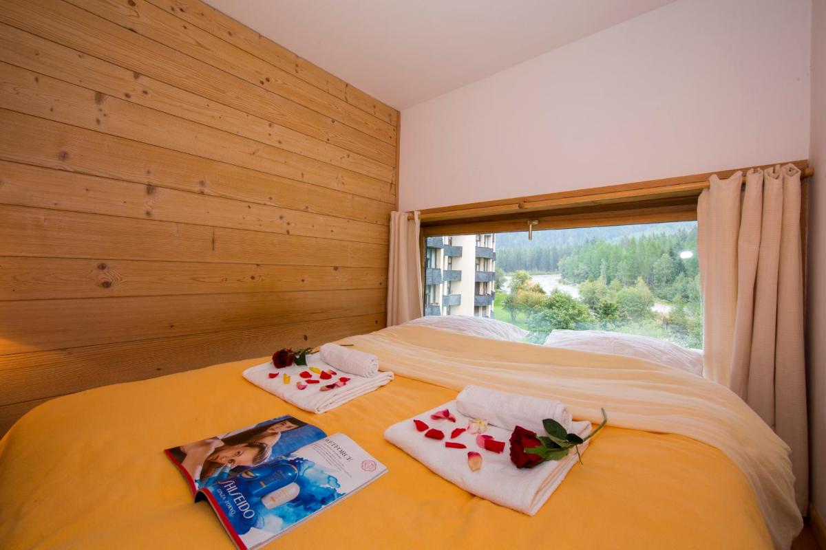 Résidence Grand Roc - Ancolies 220 - Happy Rentals view 3