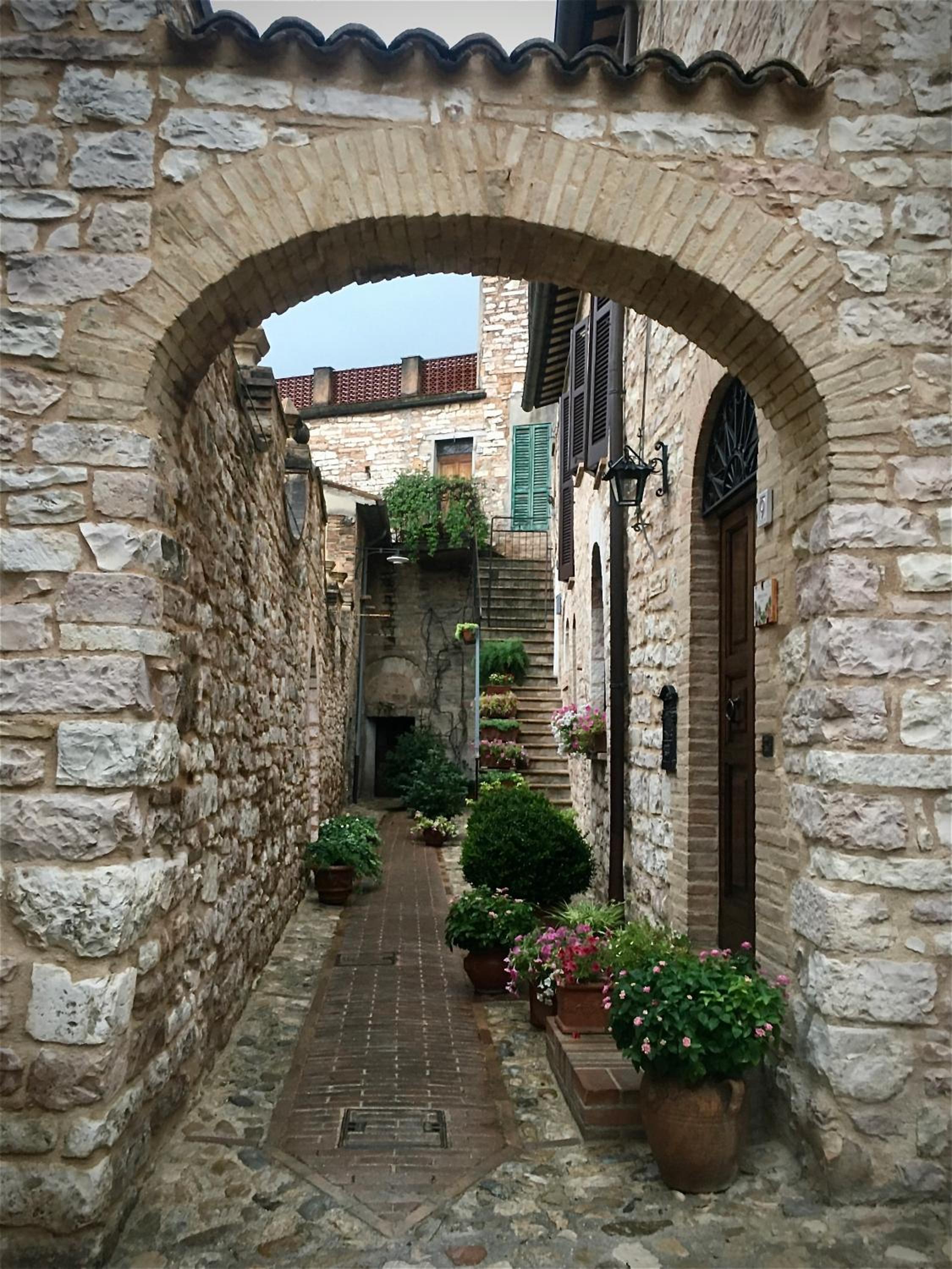 Photo 19