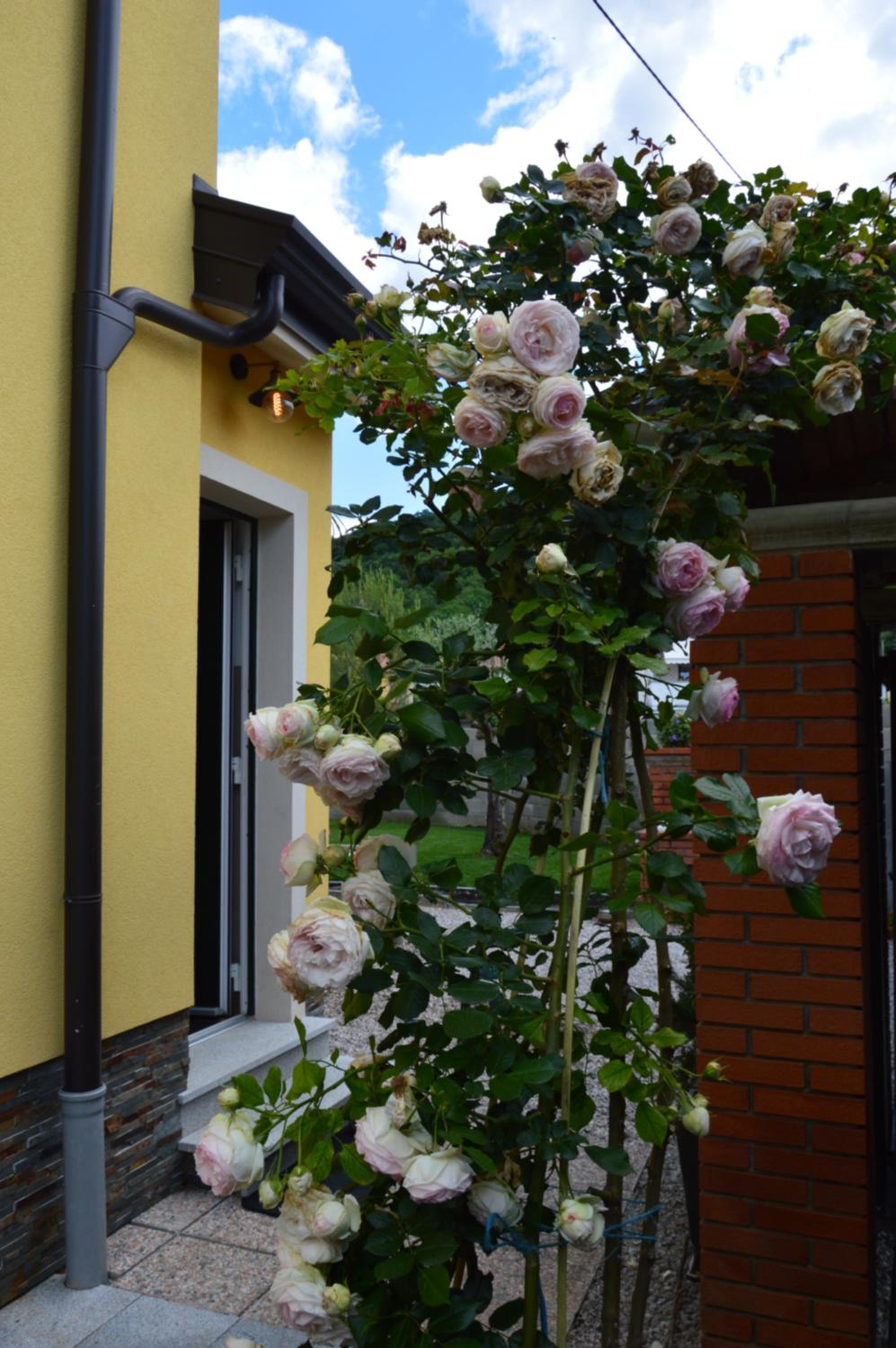 Apartment Kancler view 4
