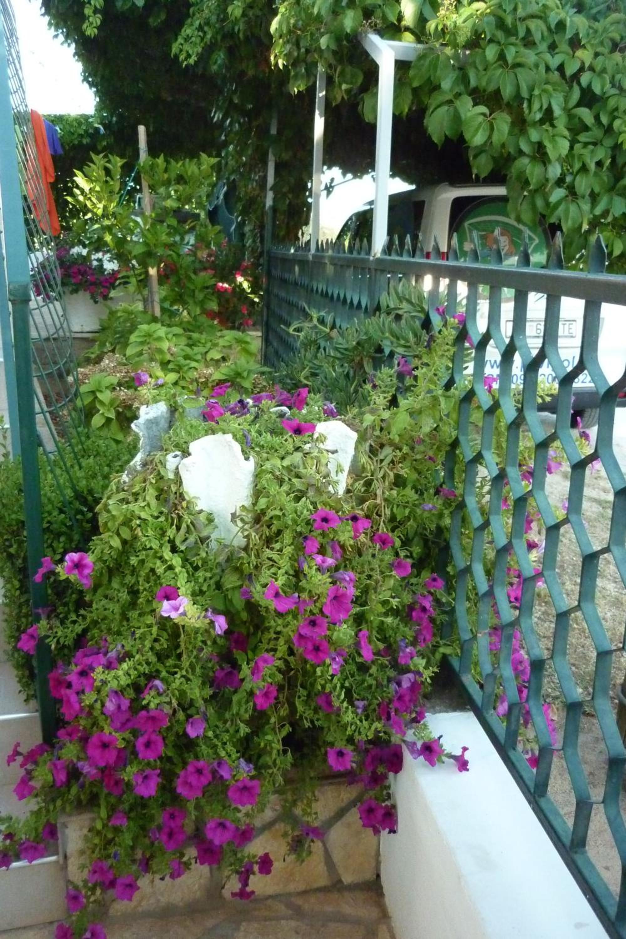 Photo 21