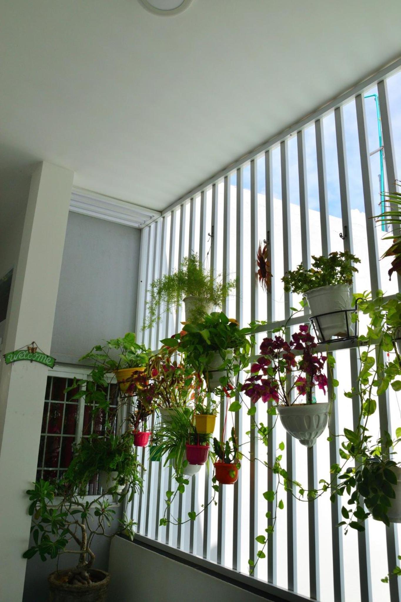 Blossom Homestay view 4