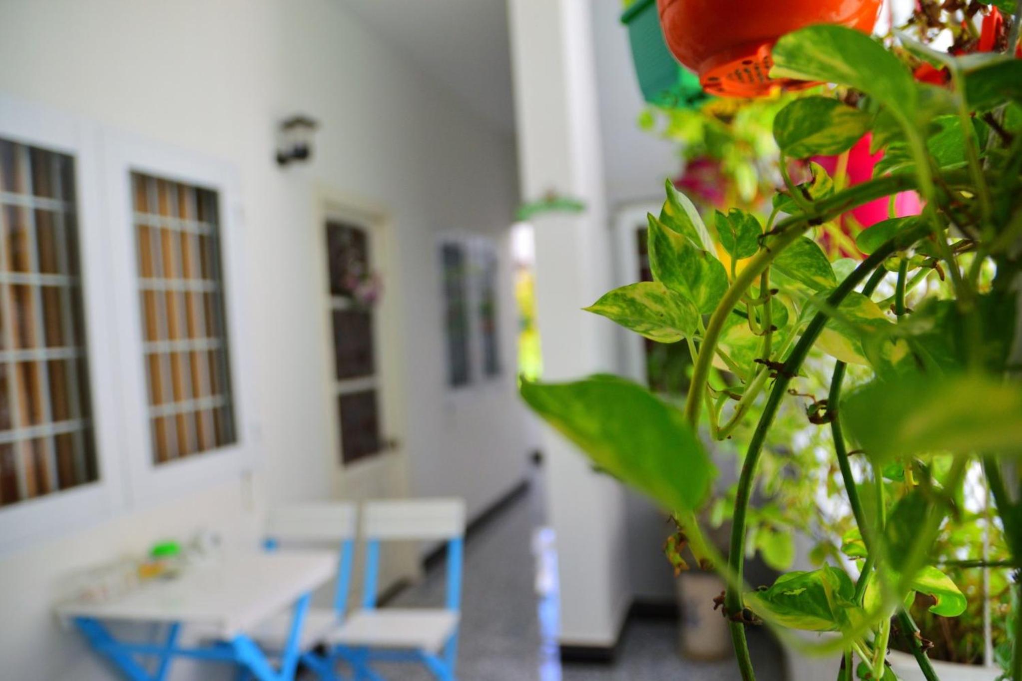 Blossom Homestay view 5