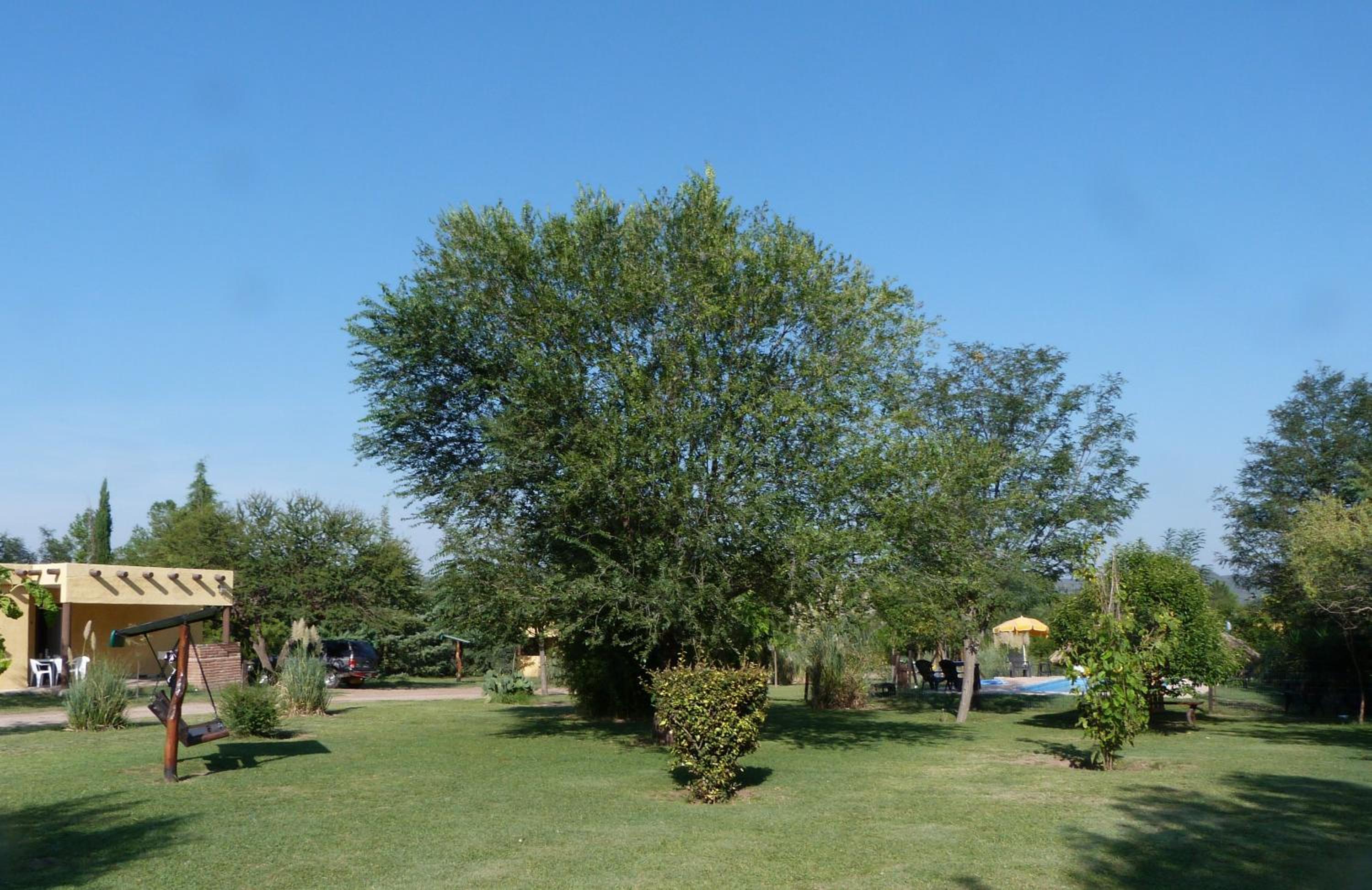 Yerba Buena casas de campo - Nono