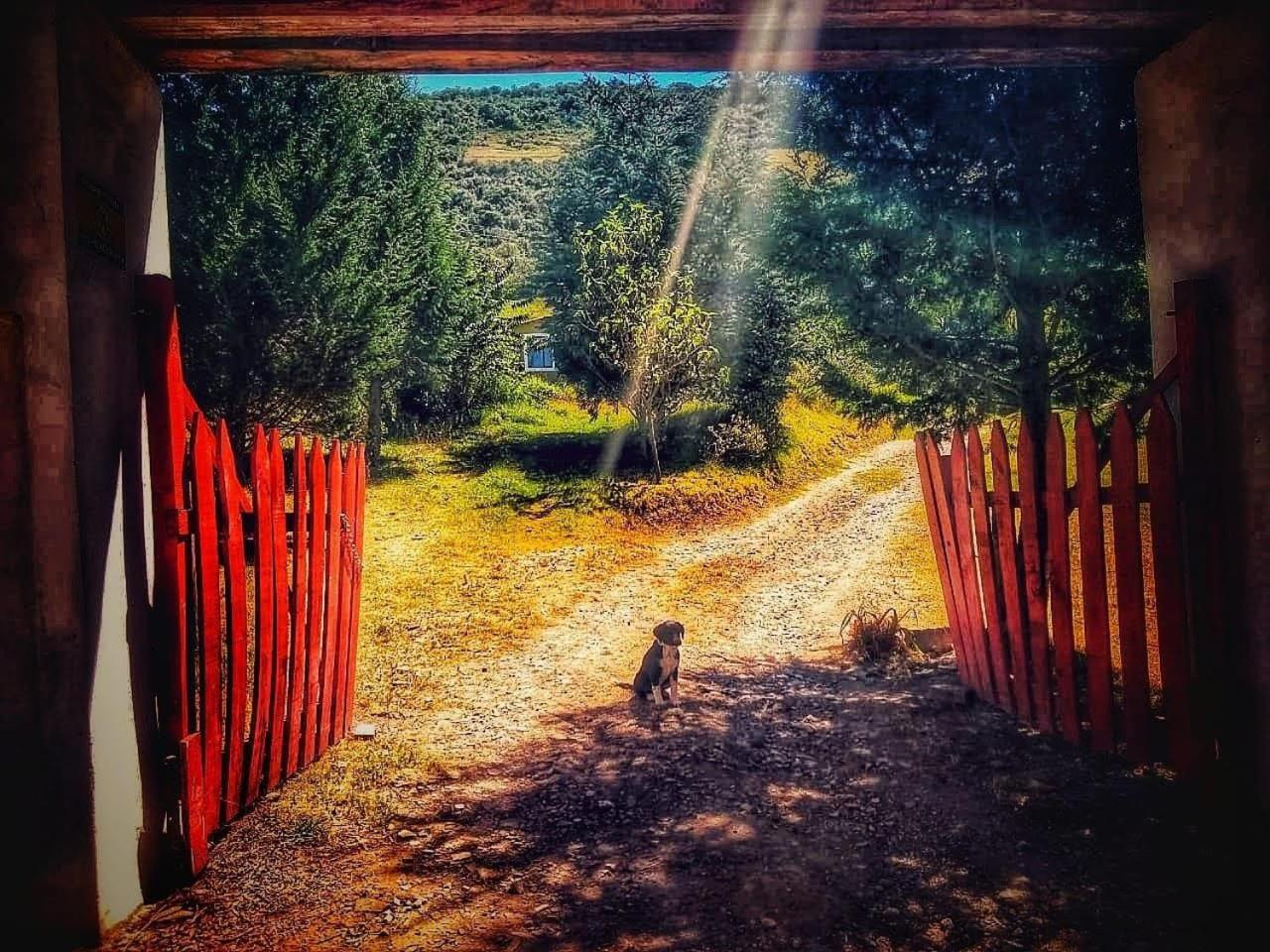 Finca Agrreste