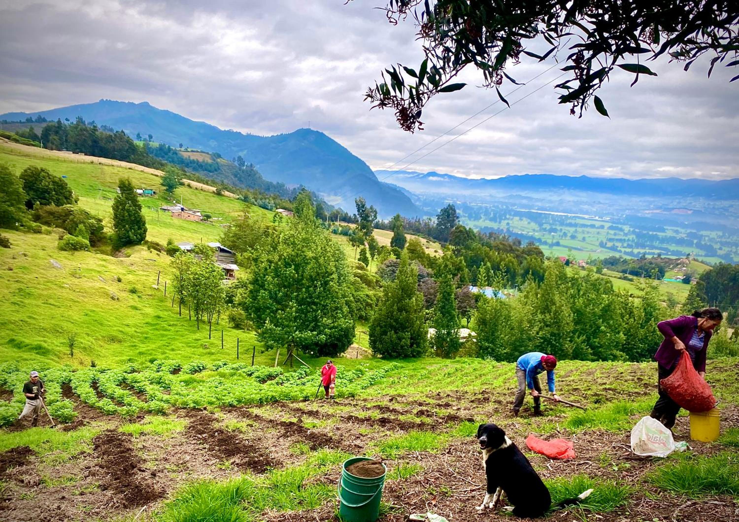 Finca Agrreste