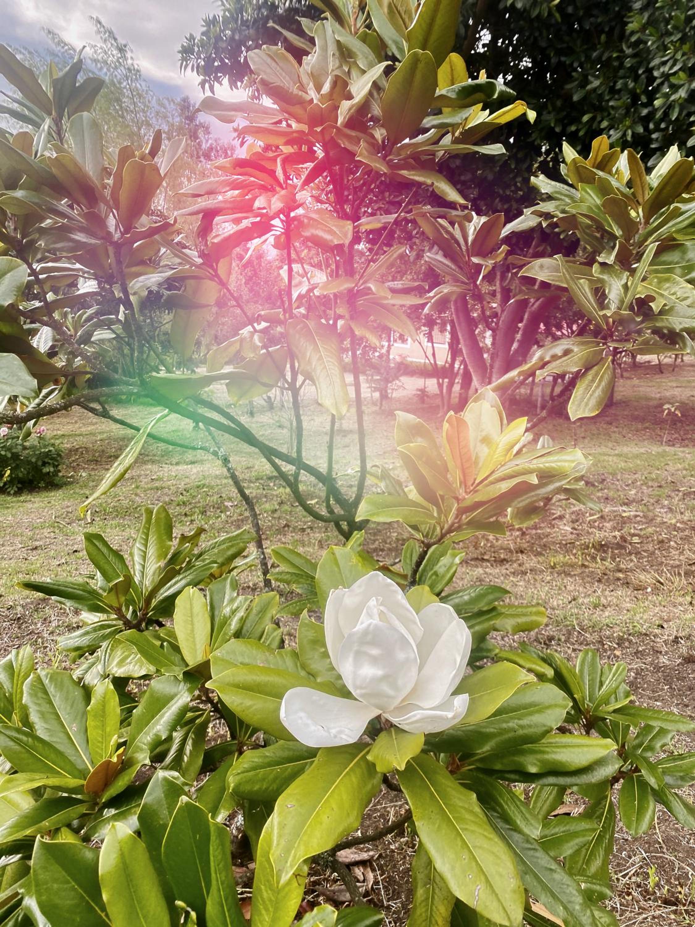 Finca Agrreste