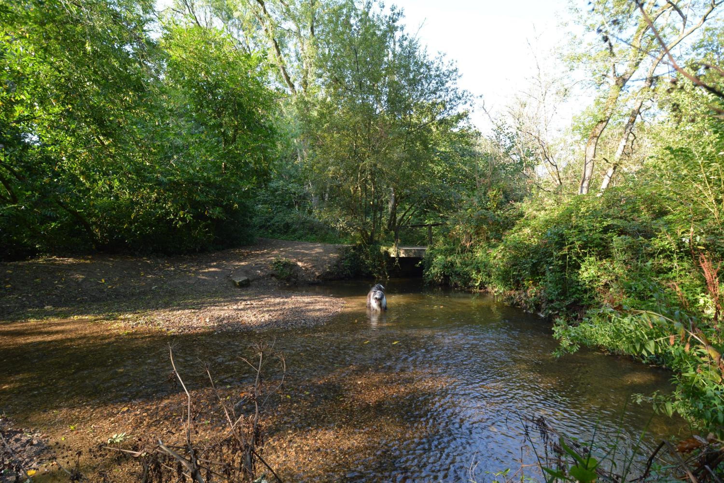 Photo 28