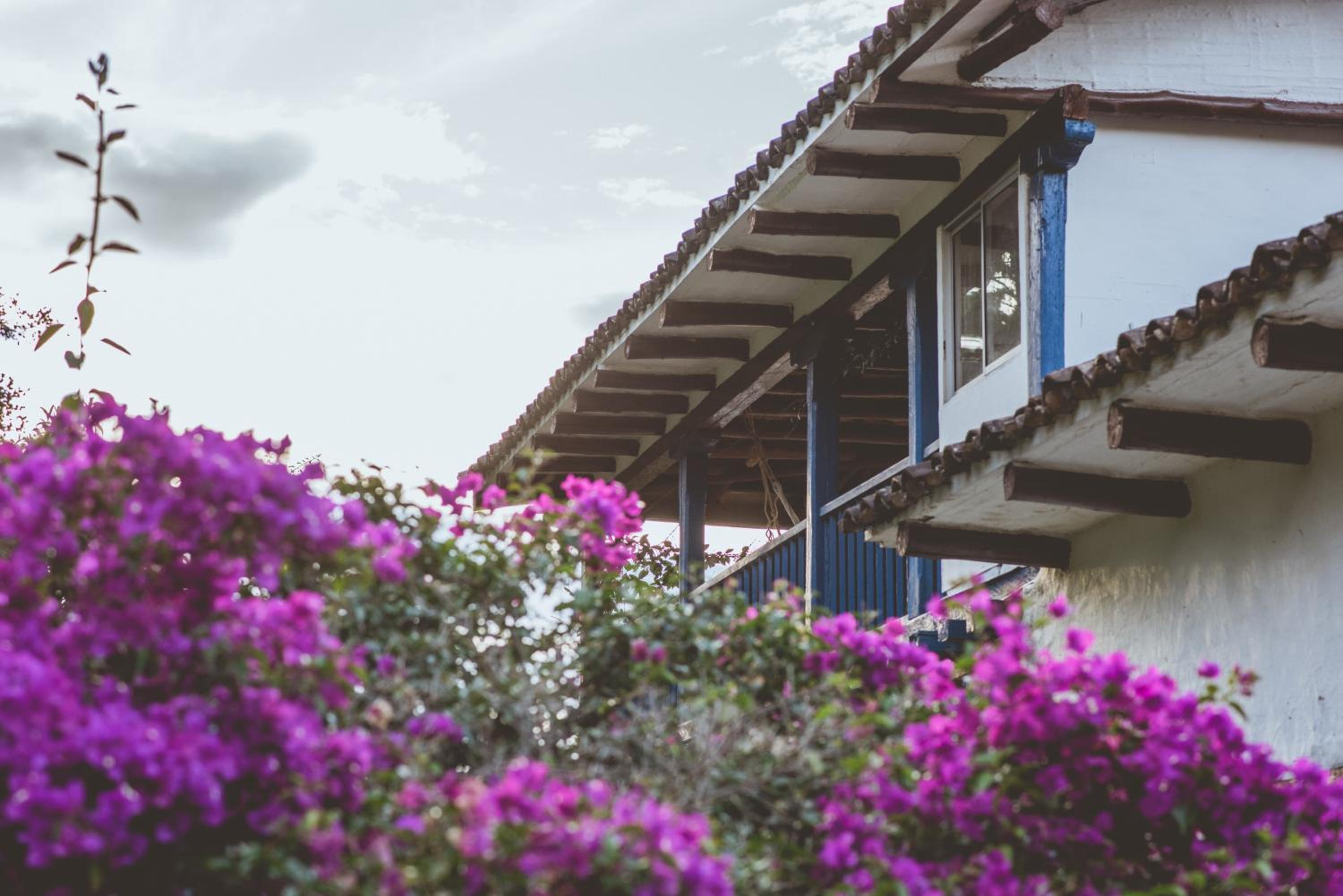 Hacienda Pisoje
