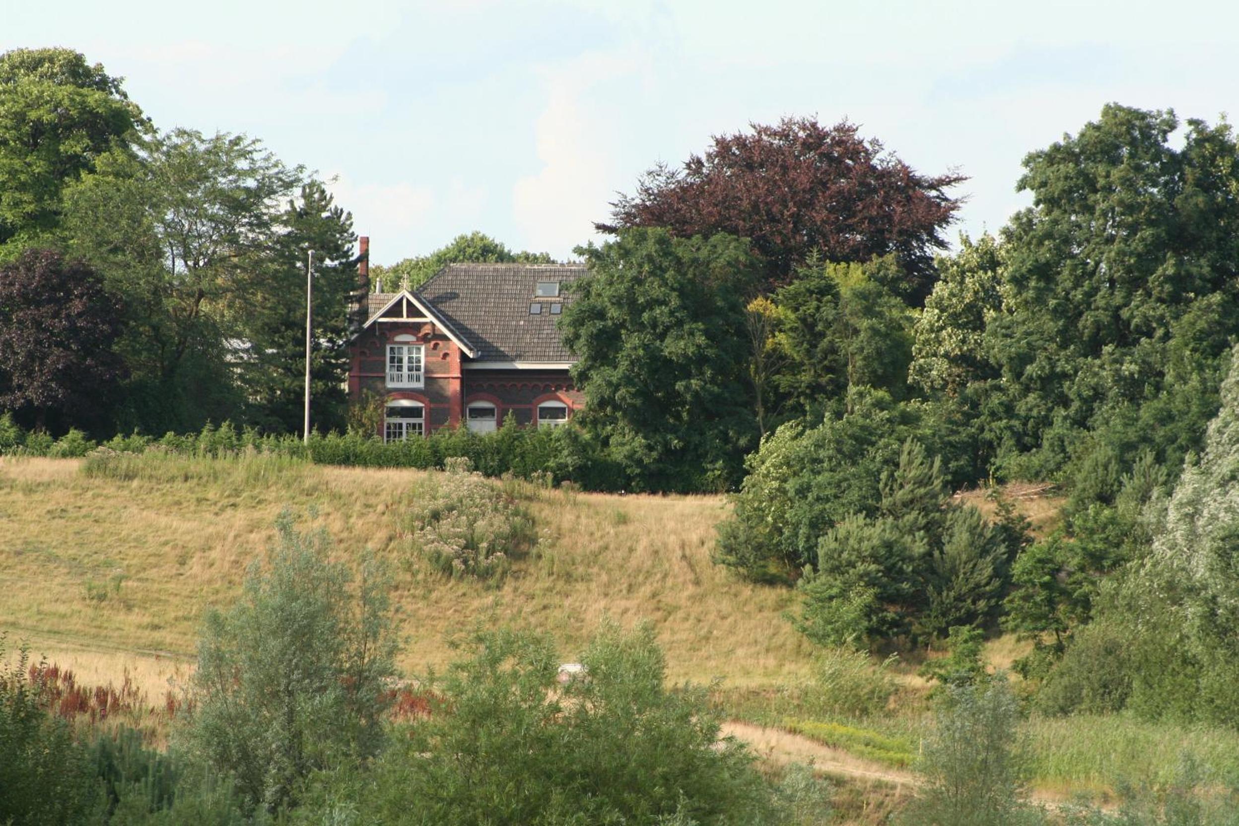 Photo 8