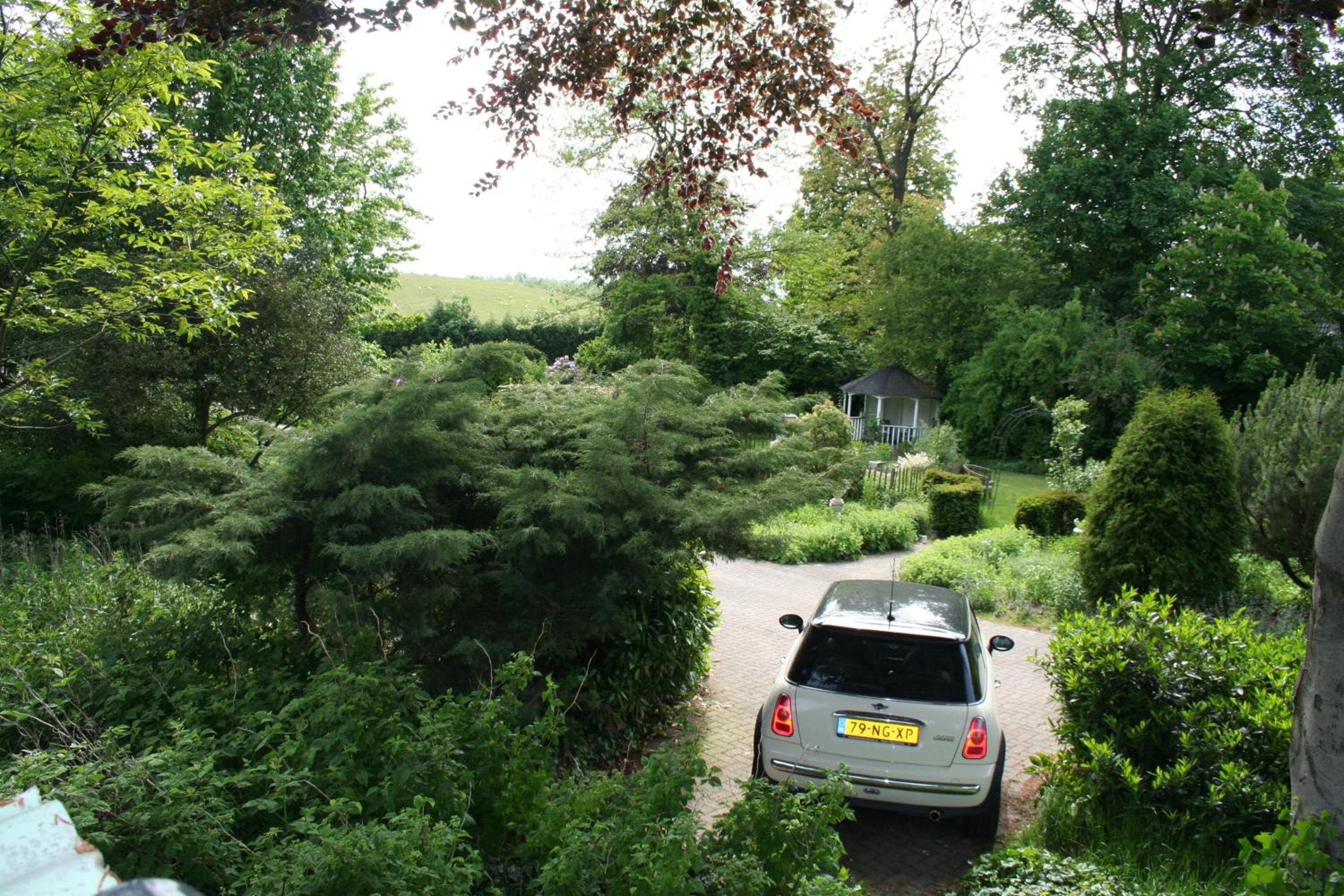 Photo 30