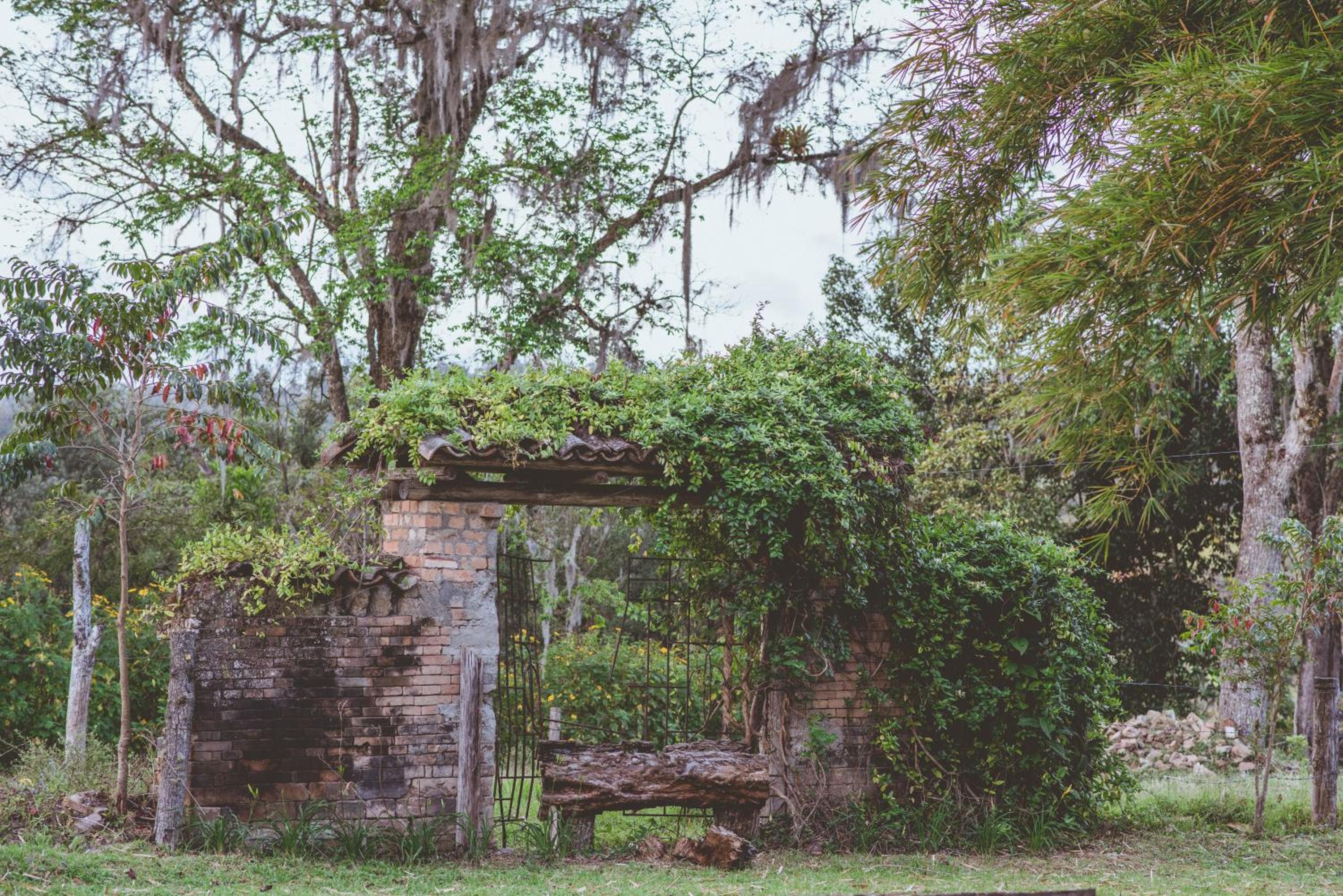 Hacienda Pisoje