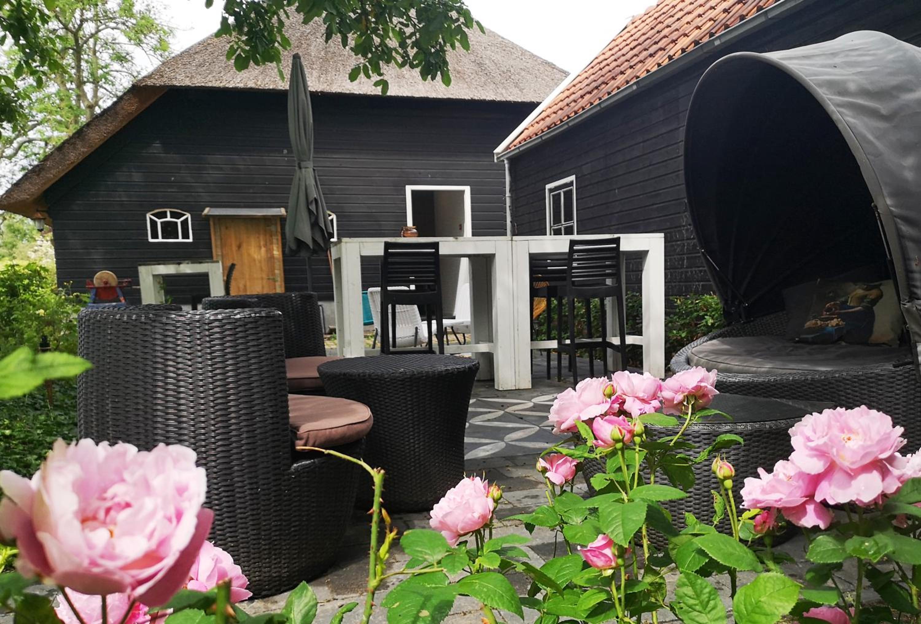 The Black Sheep Hostel
