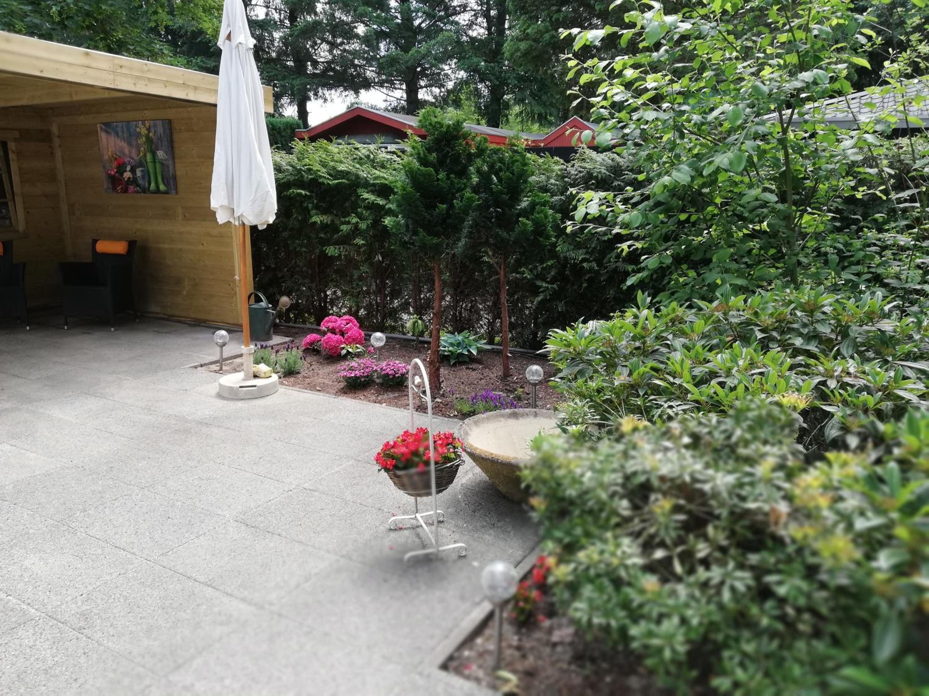 Photo 21
