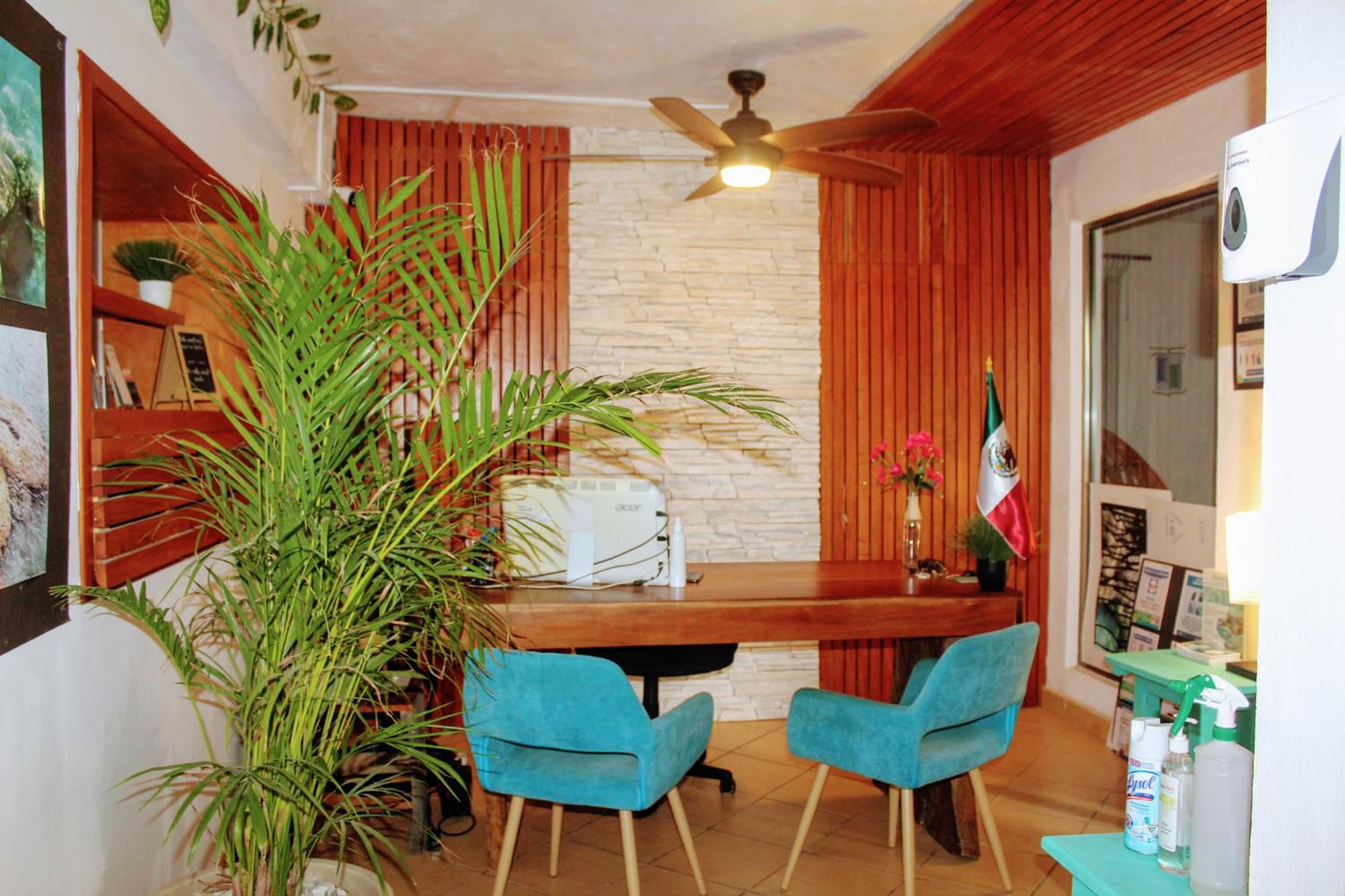 recepcion & lobby