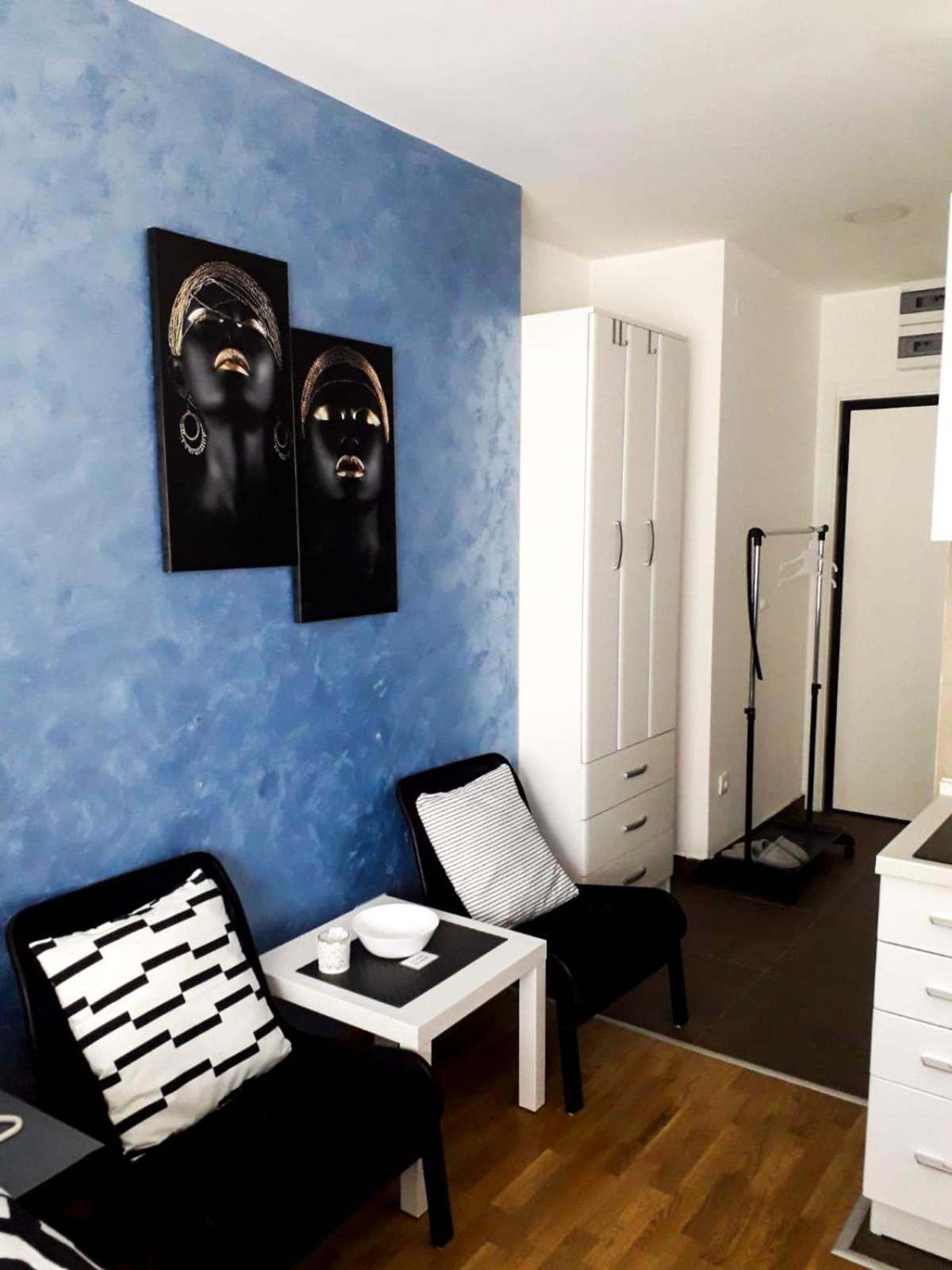 Apartman Rajić Central Lux view 5
