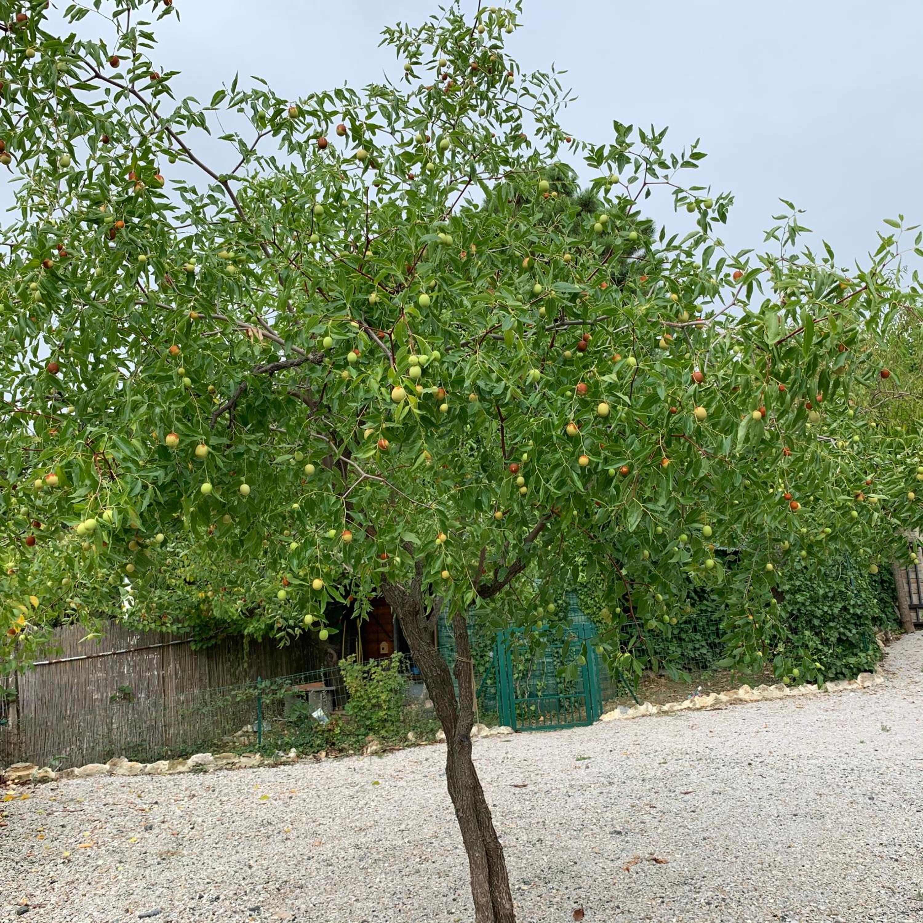 Photo 10