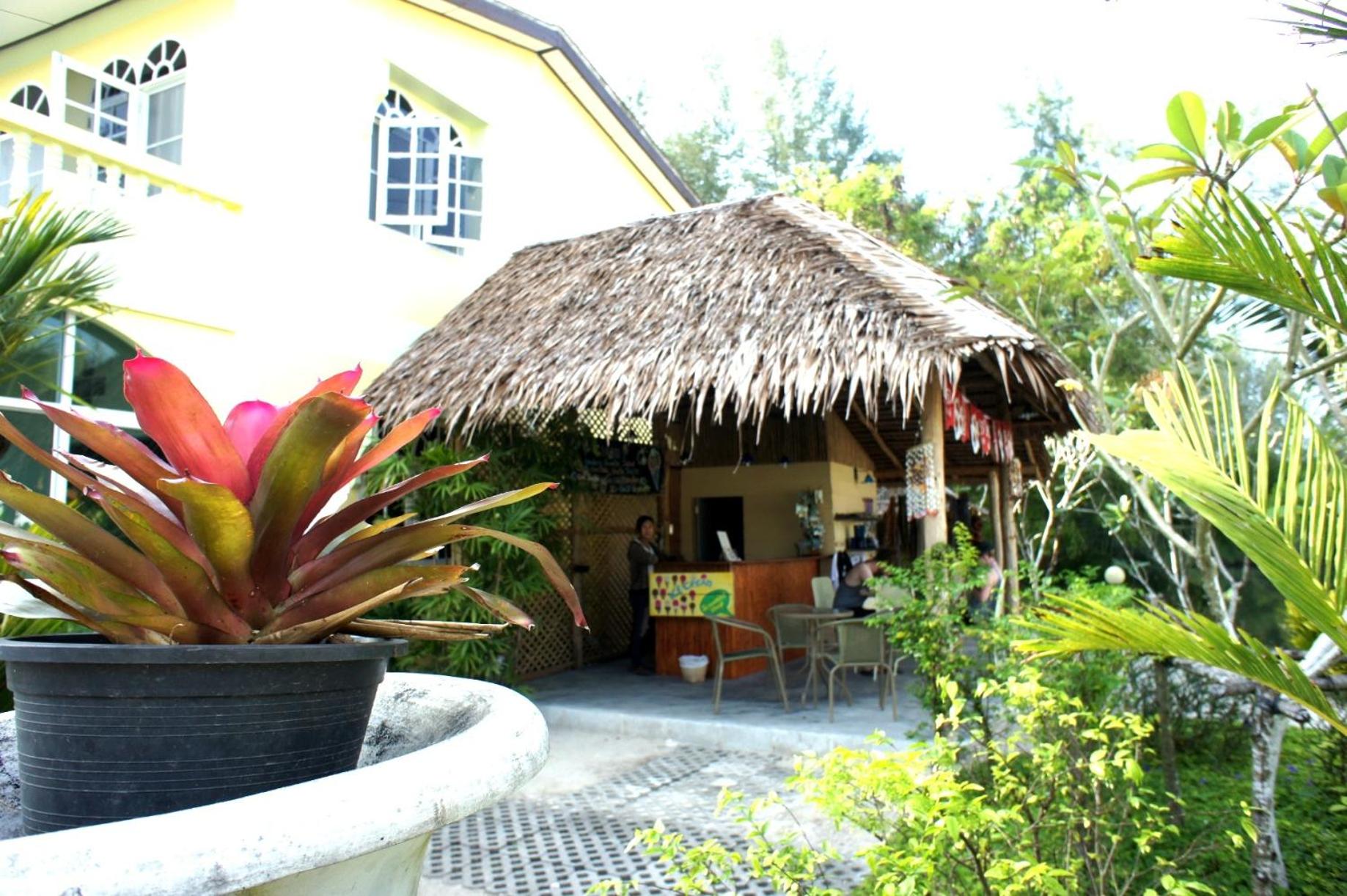 Photo 10