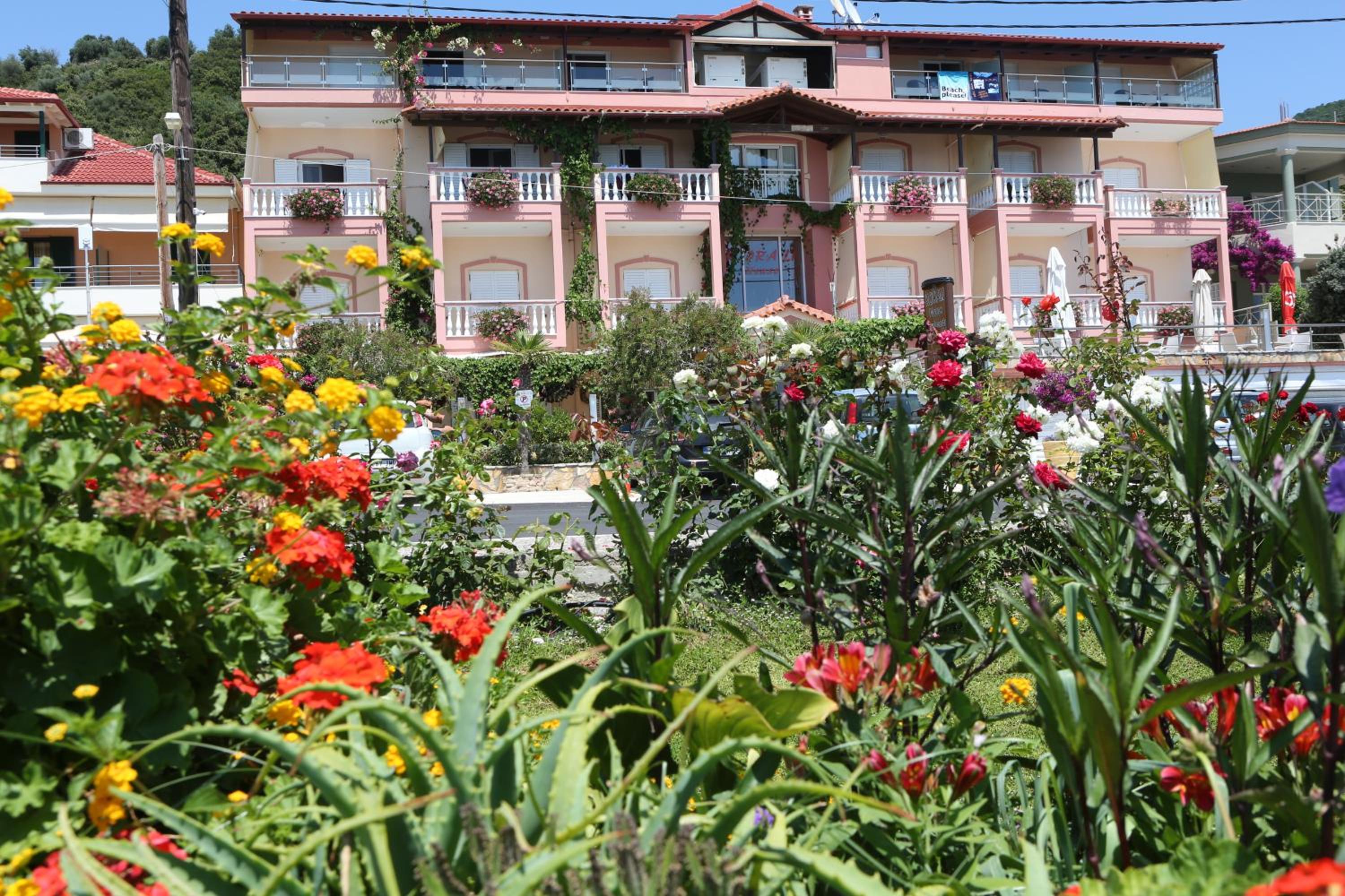Photo 45