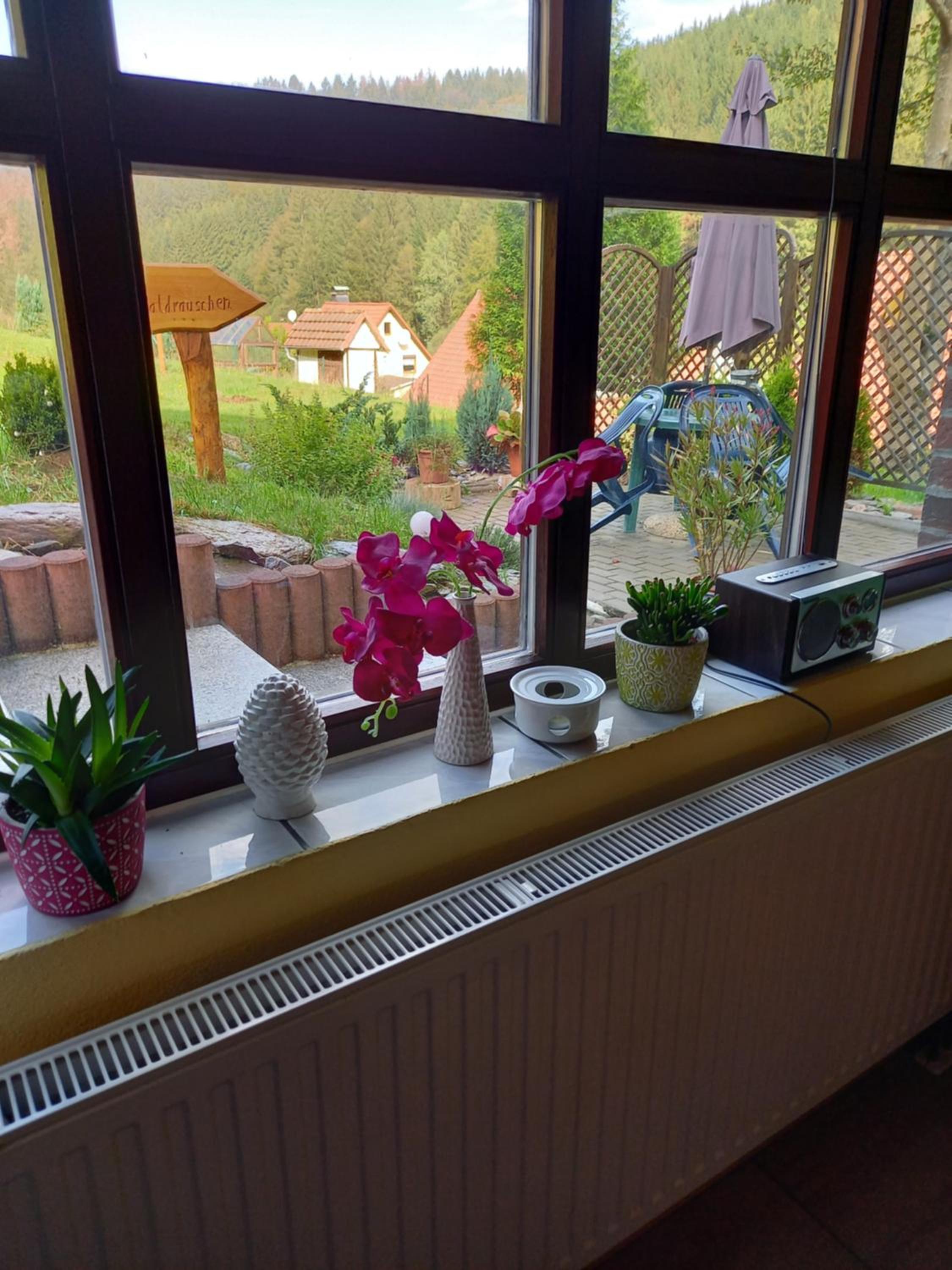Monteur- und Ferienwohnung Waldrauschen