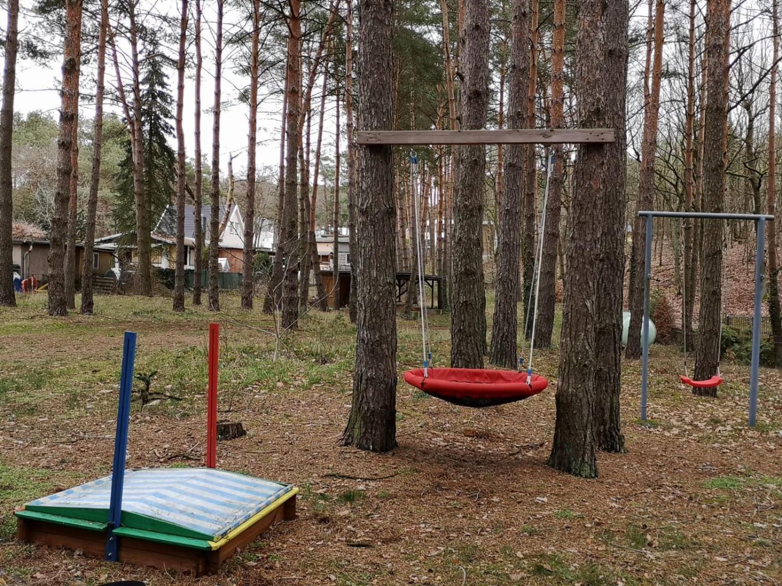 Photo 19