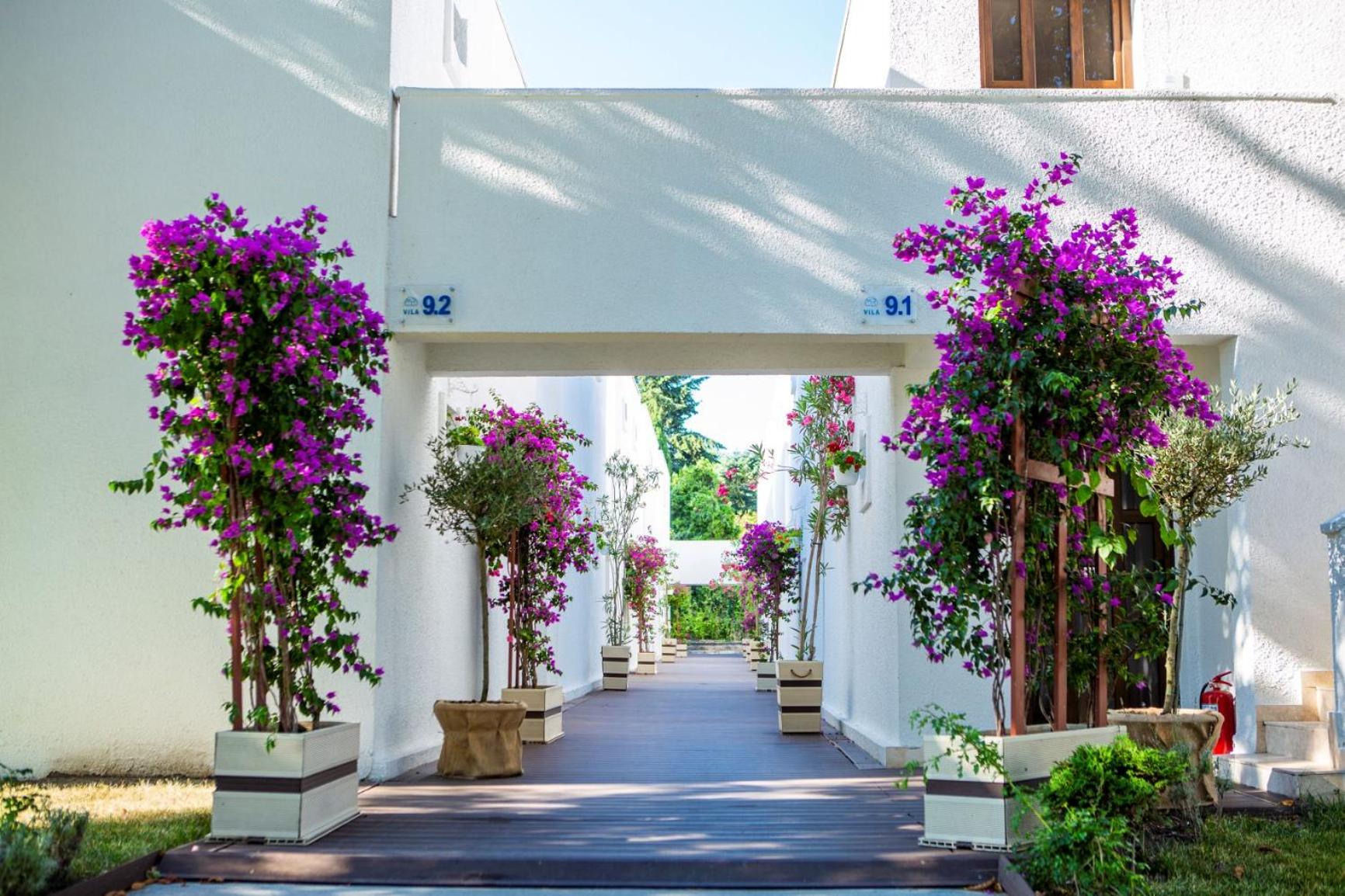 Mera Resort