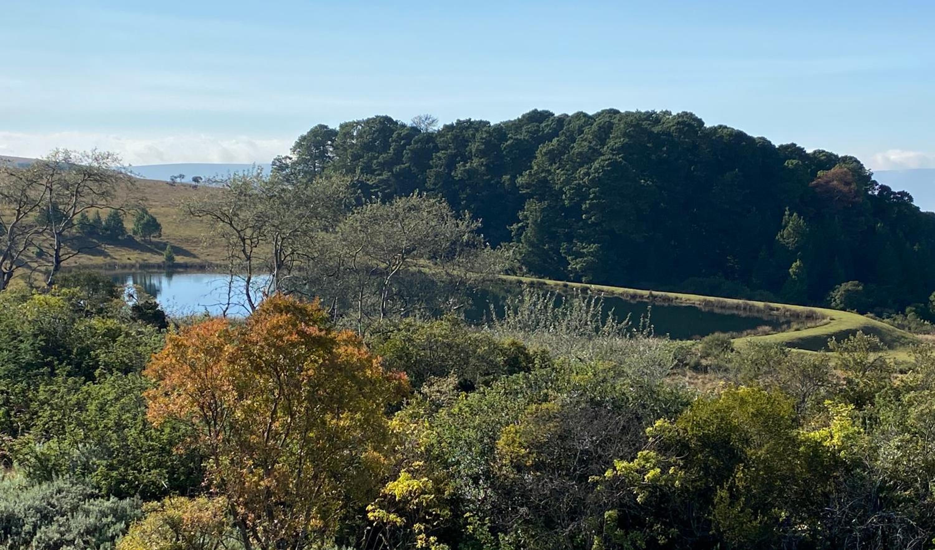 Amberley Mountain Reserve