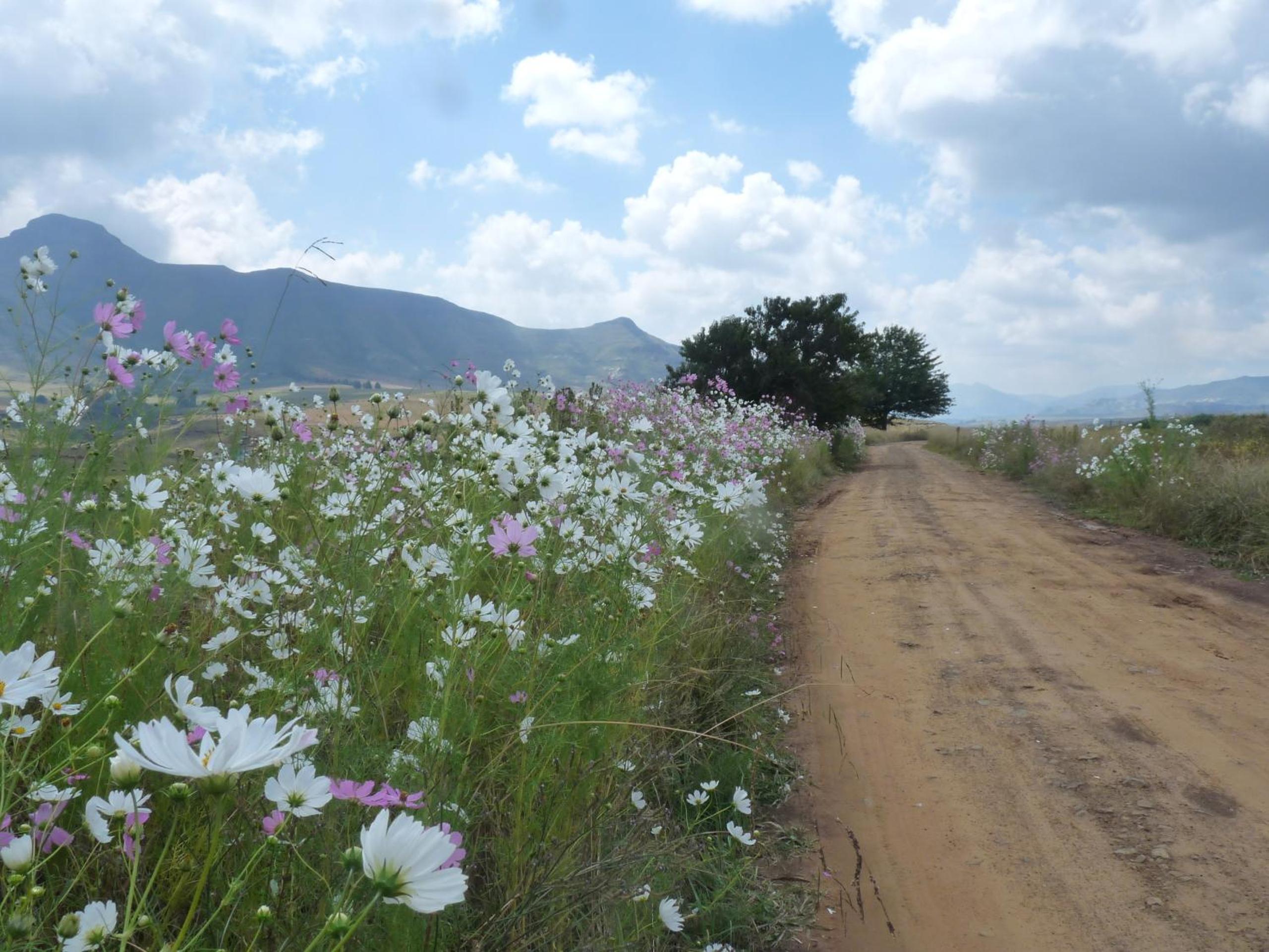 Jovali Clarens view 4