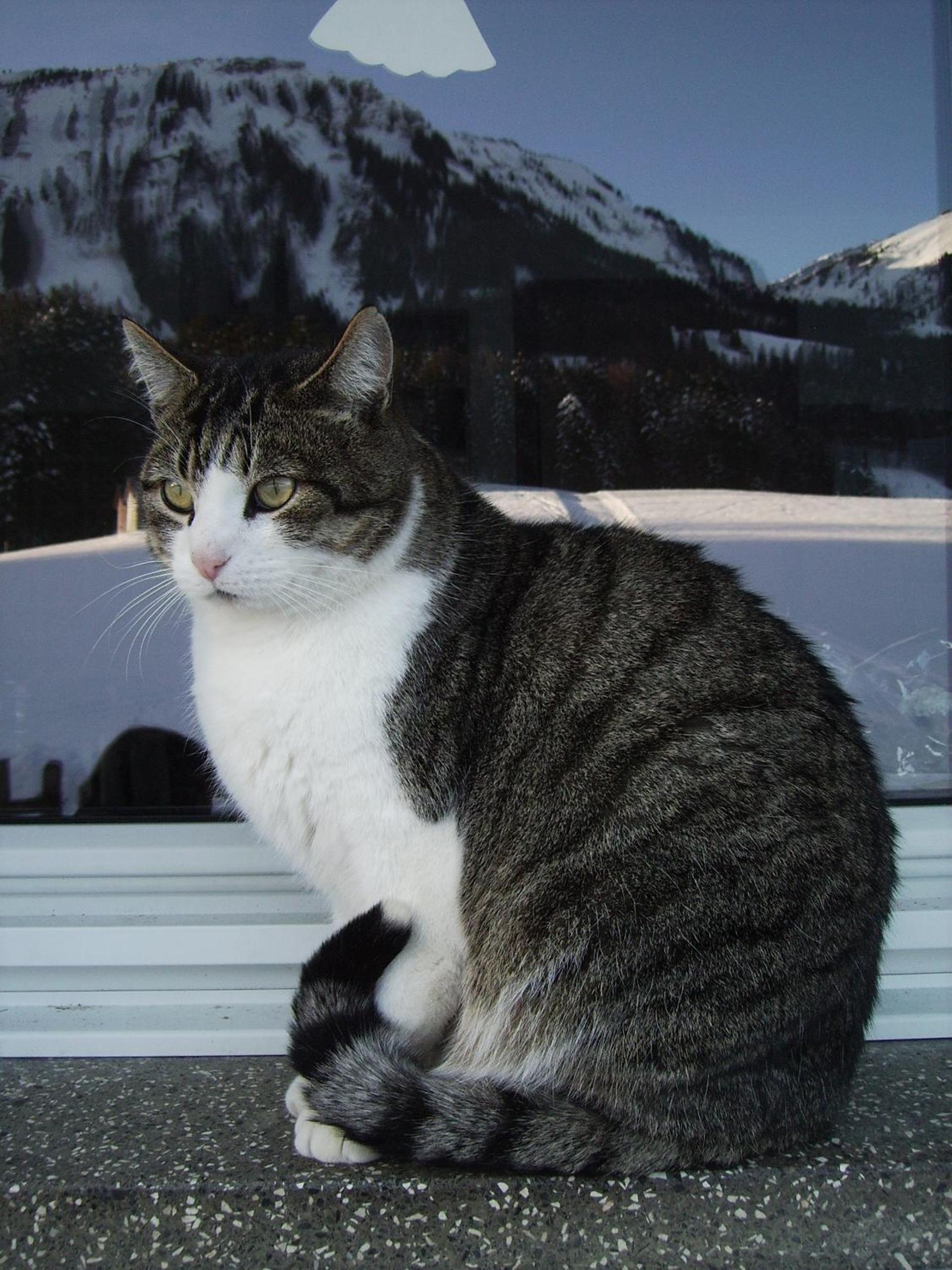 Berghof Vöglerbrand