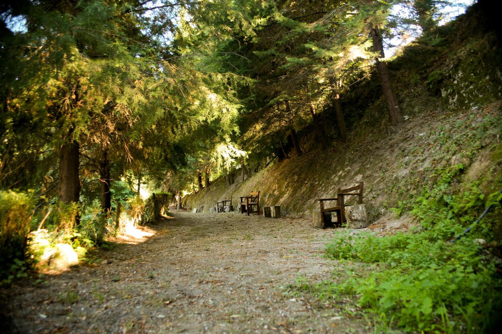 Photo 9