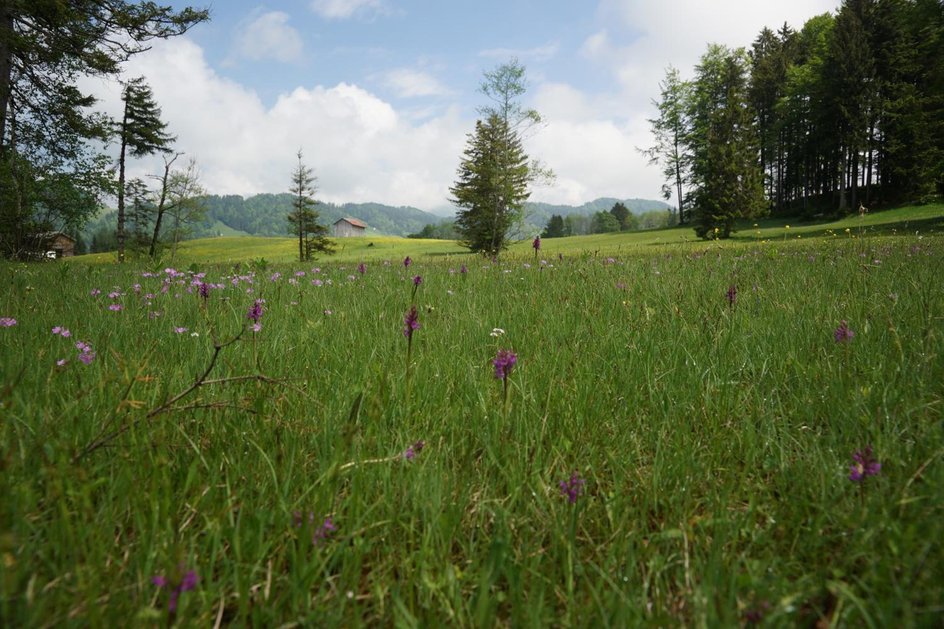 Berghof Vöglerbrand