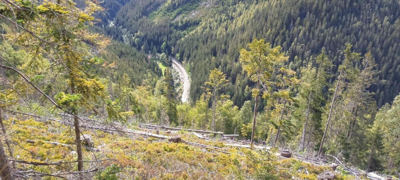 Pobyt v Krkonoších v blízkosti Pece pod Sněžkou view 3