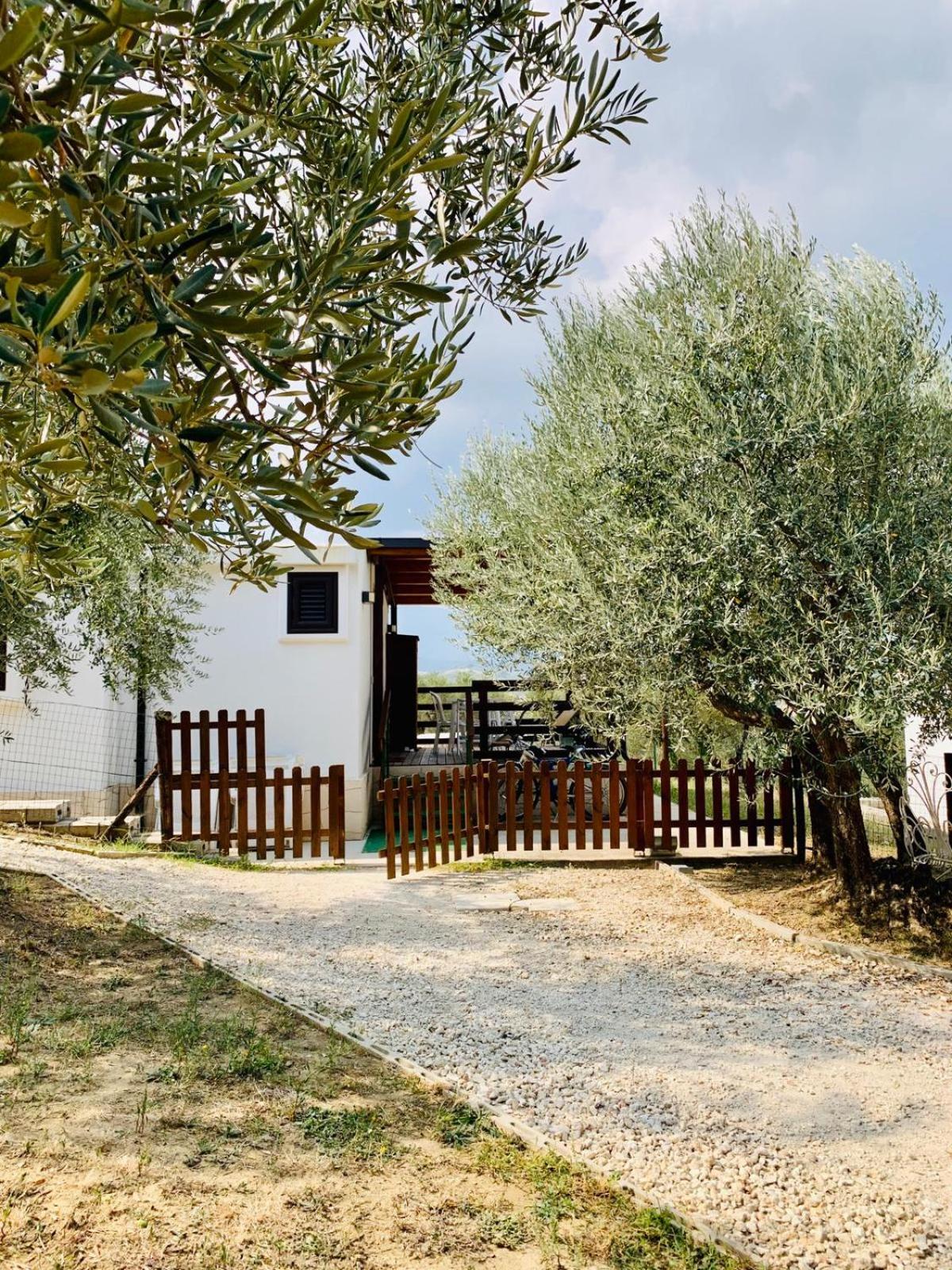 oasi macerina photo 4