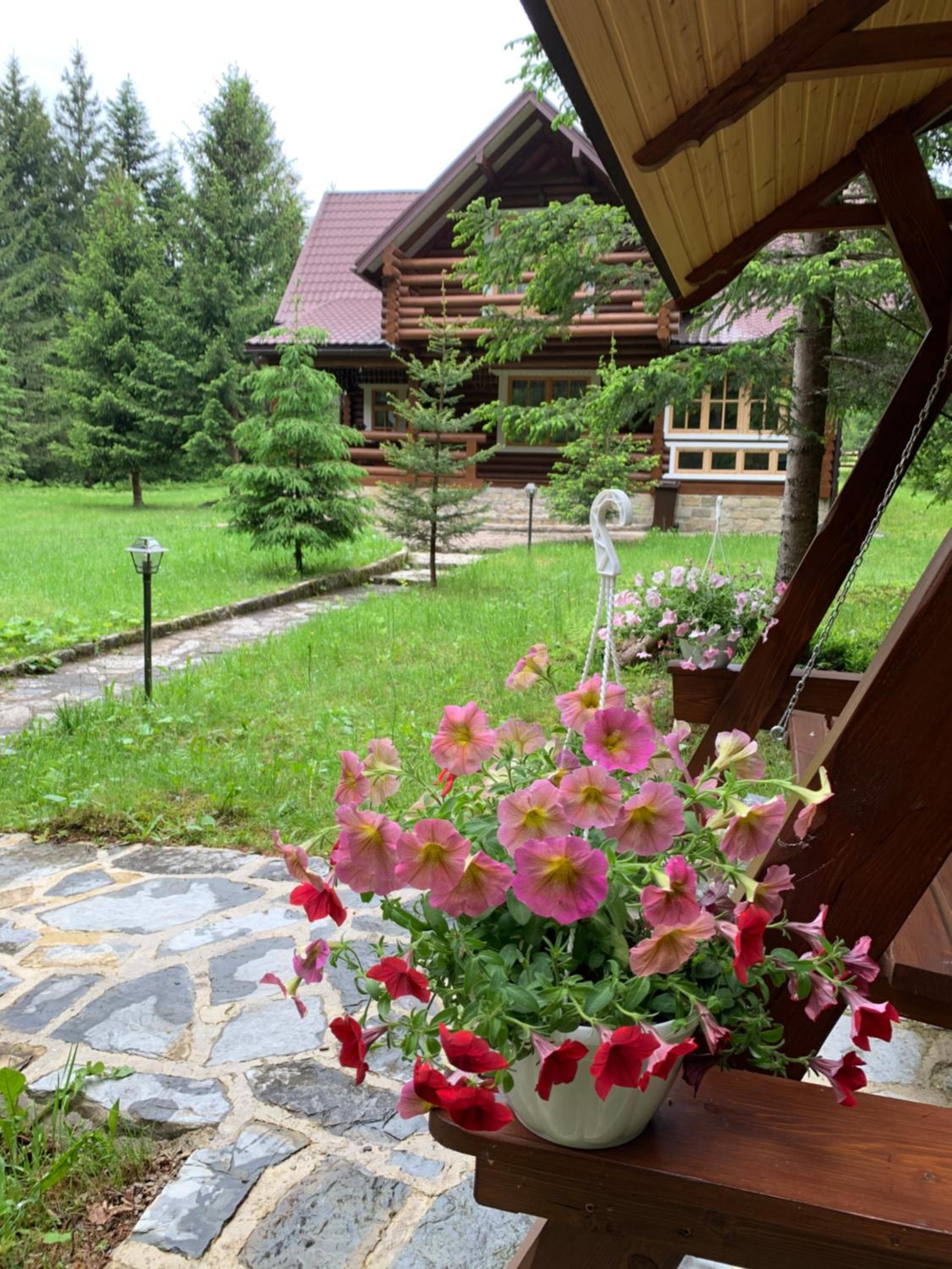 Photo 6