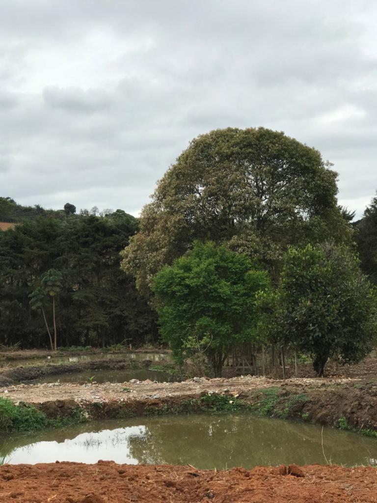 Rancho dos Pássaros Amarelos