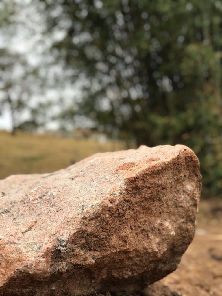 Rancho dos Pássaros Amarelos