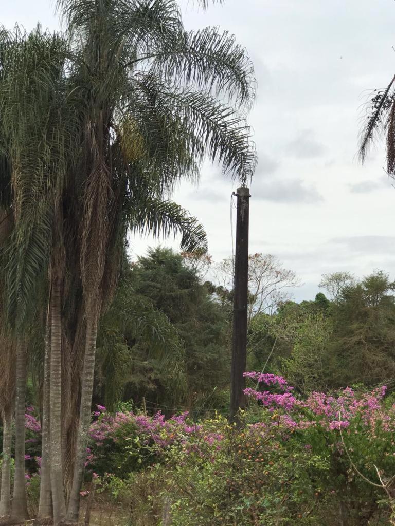 Rancho dos Pássaros Amarelos