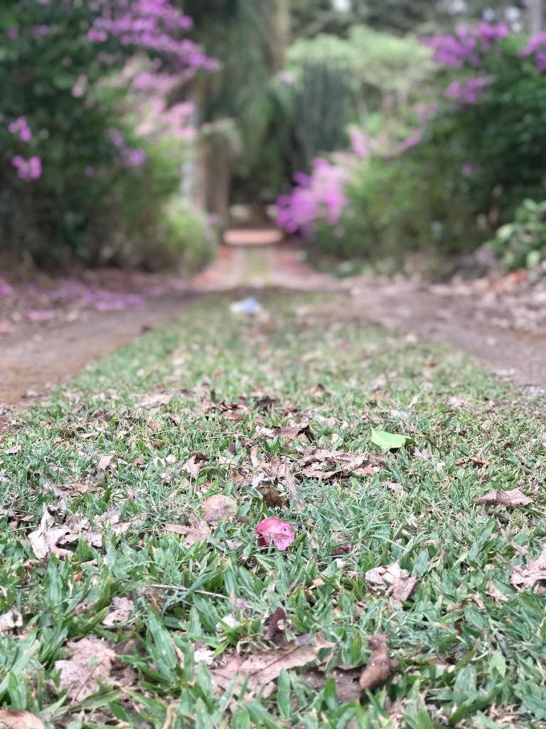 Rancho dos Pássaros Amarelos