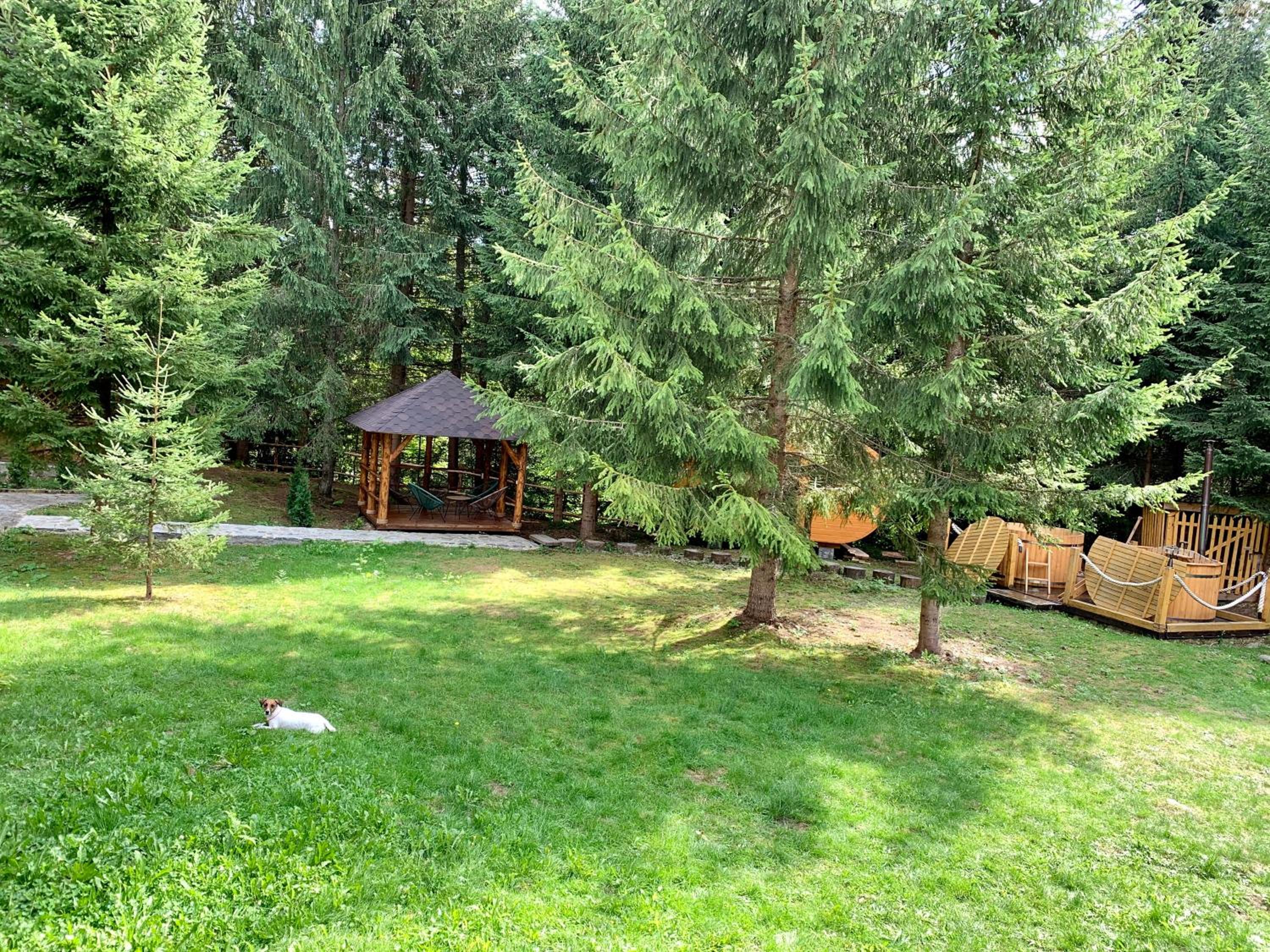 Photo 10