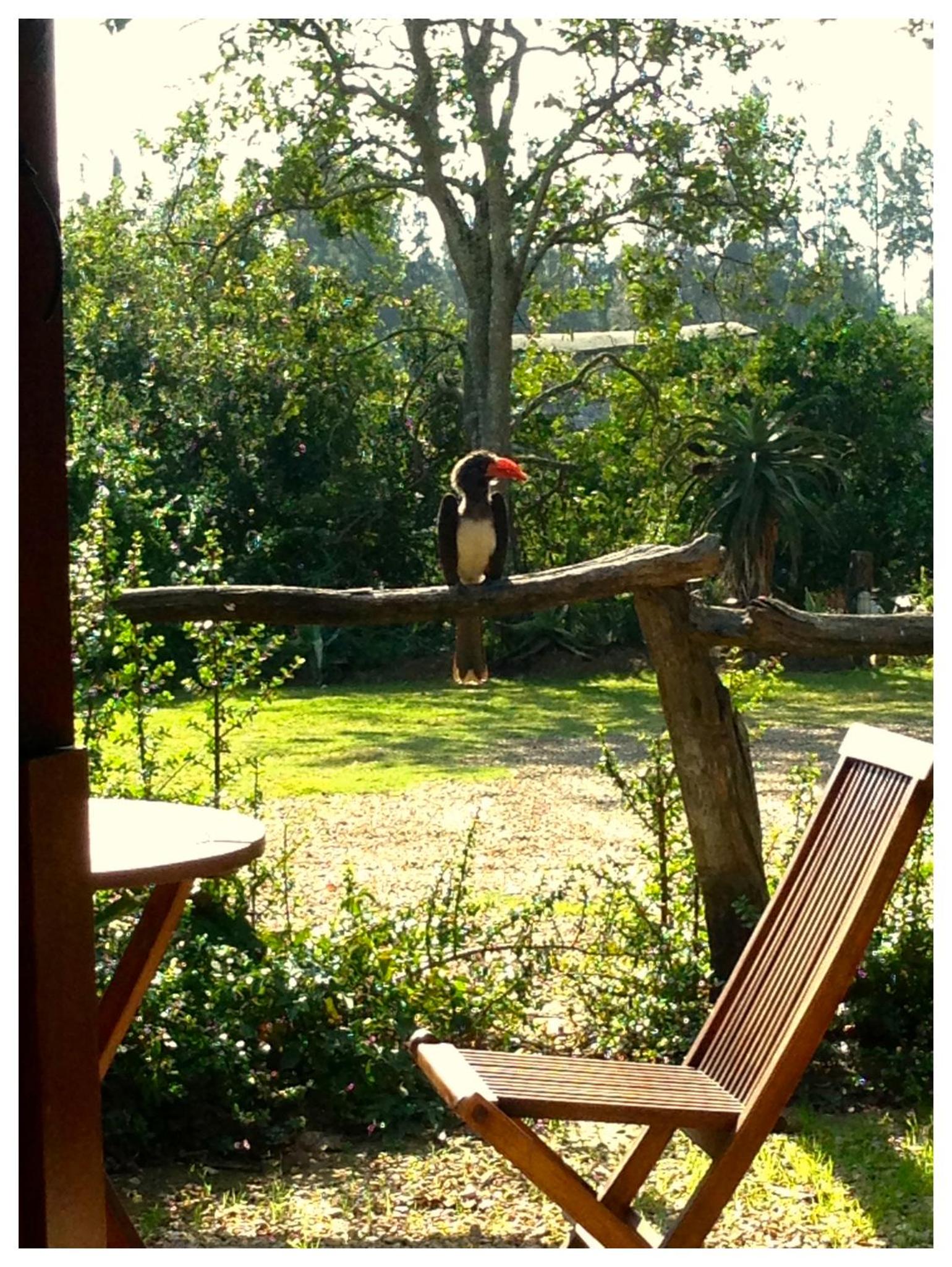 Chrislin African Lodge