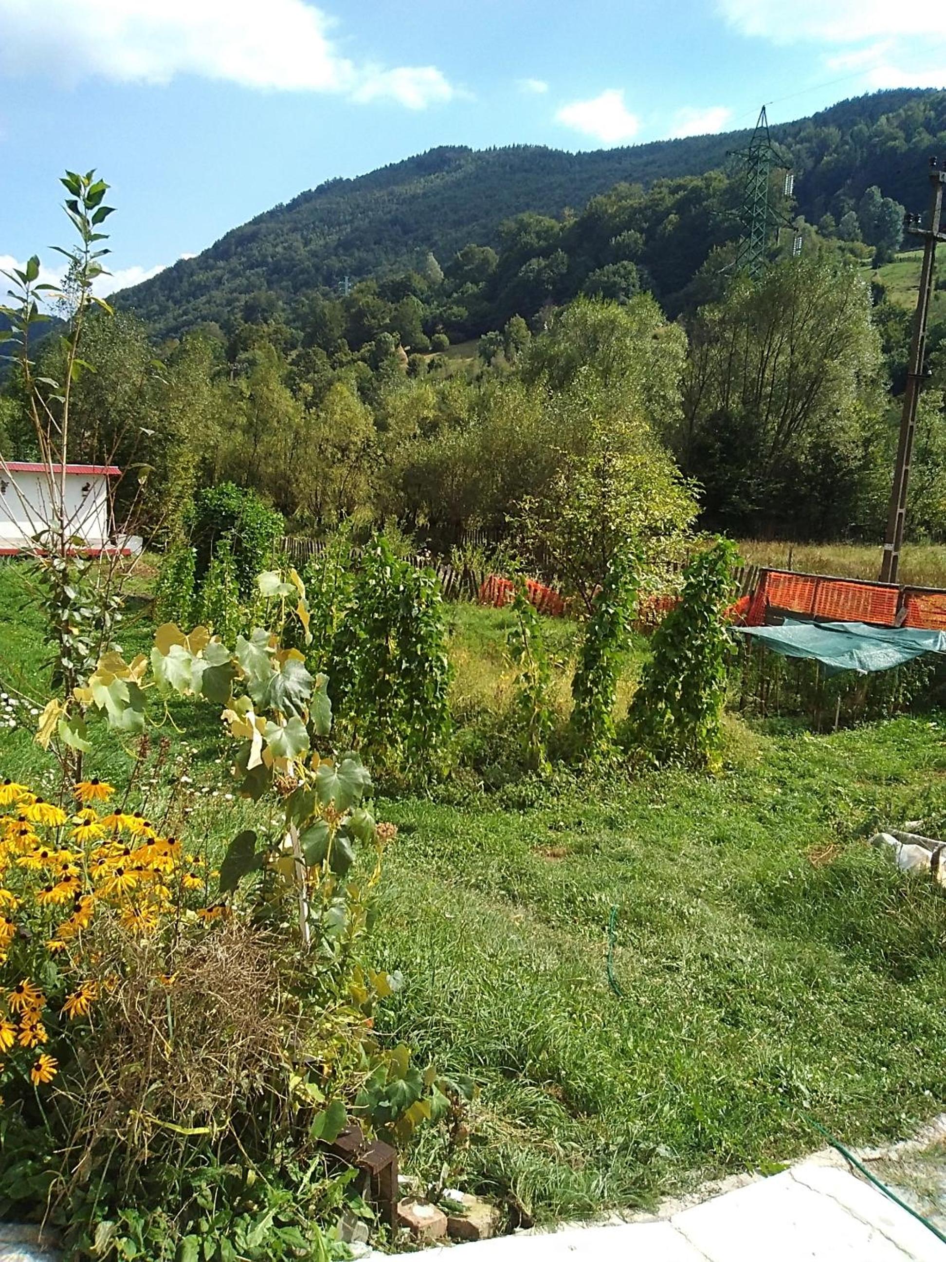 Photo 20