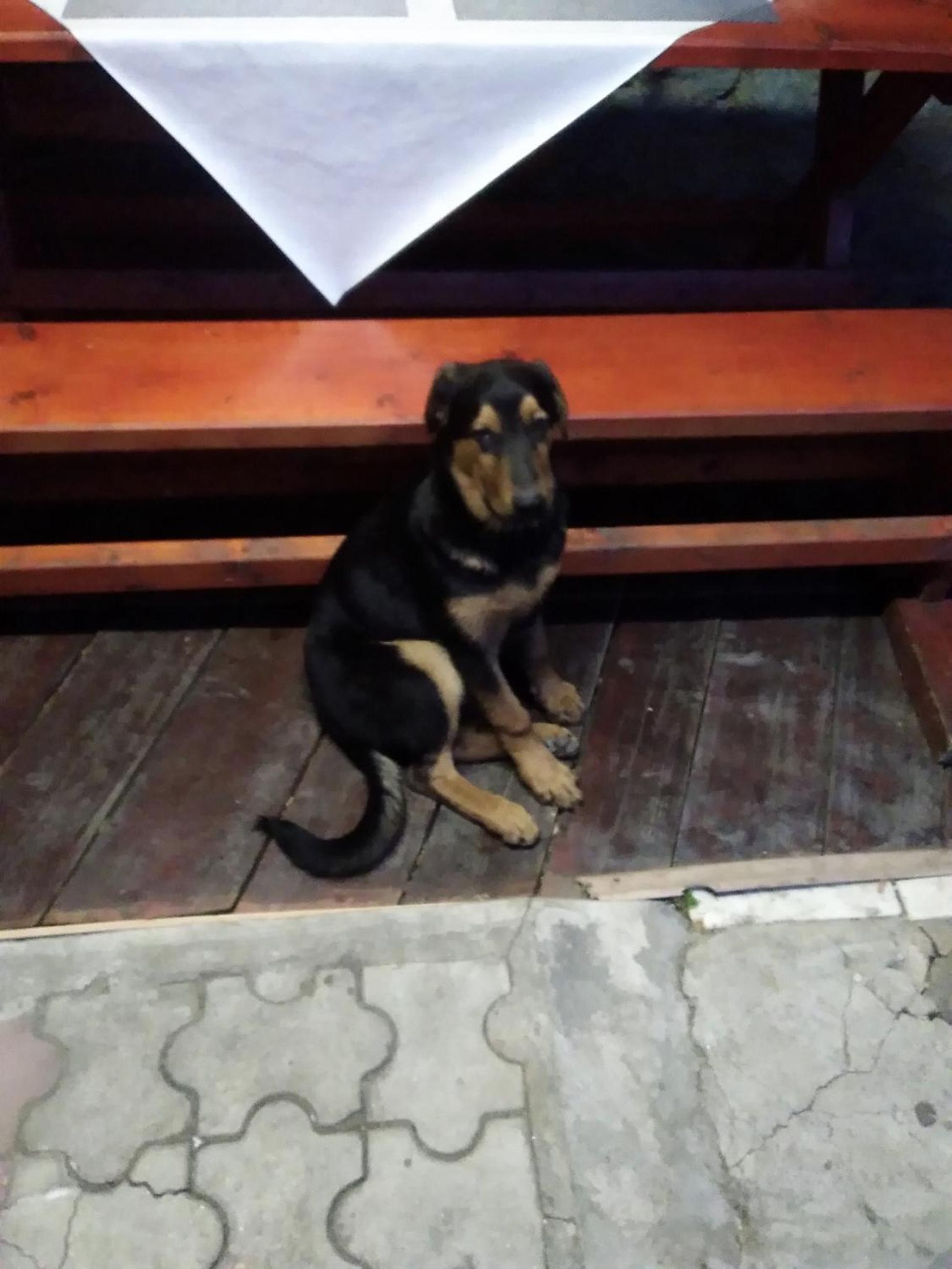 Photo 22