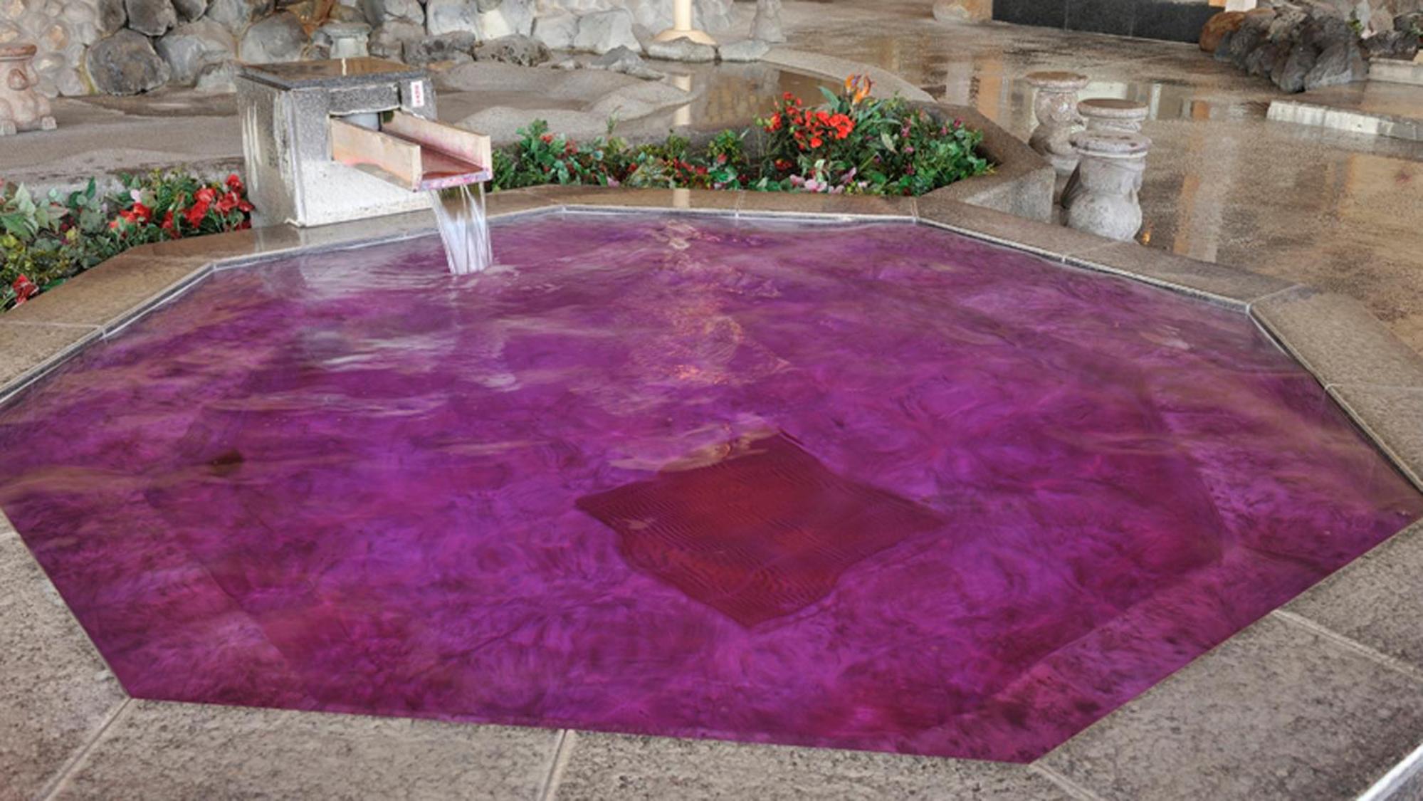 Ryugujo Spa Hotel Mikazuki Fujimitei